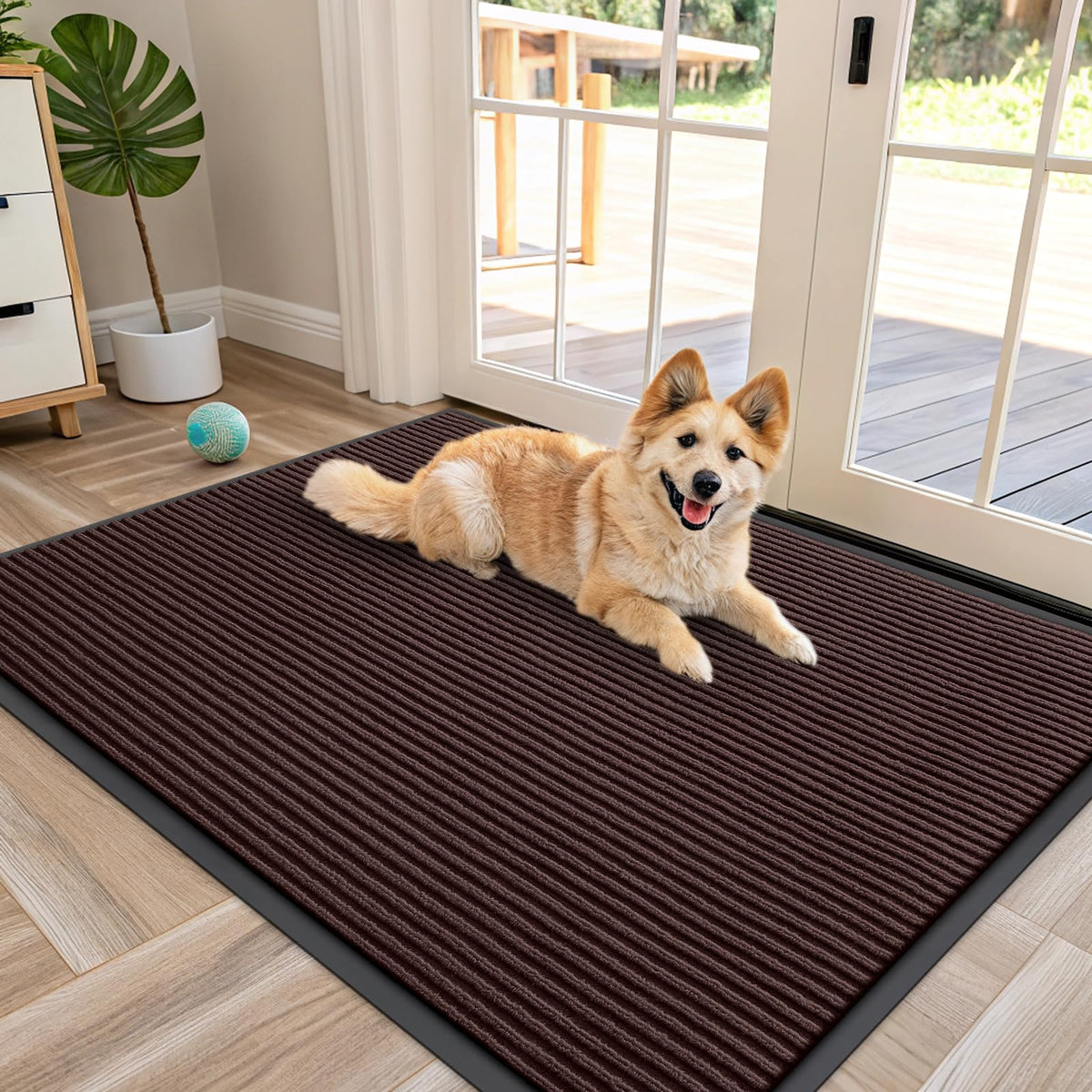 Front Door Mat 47x34