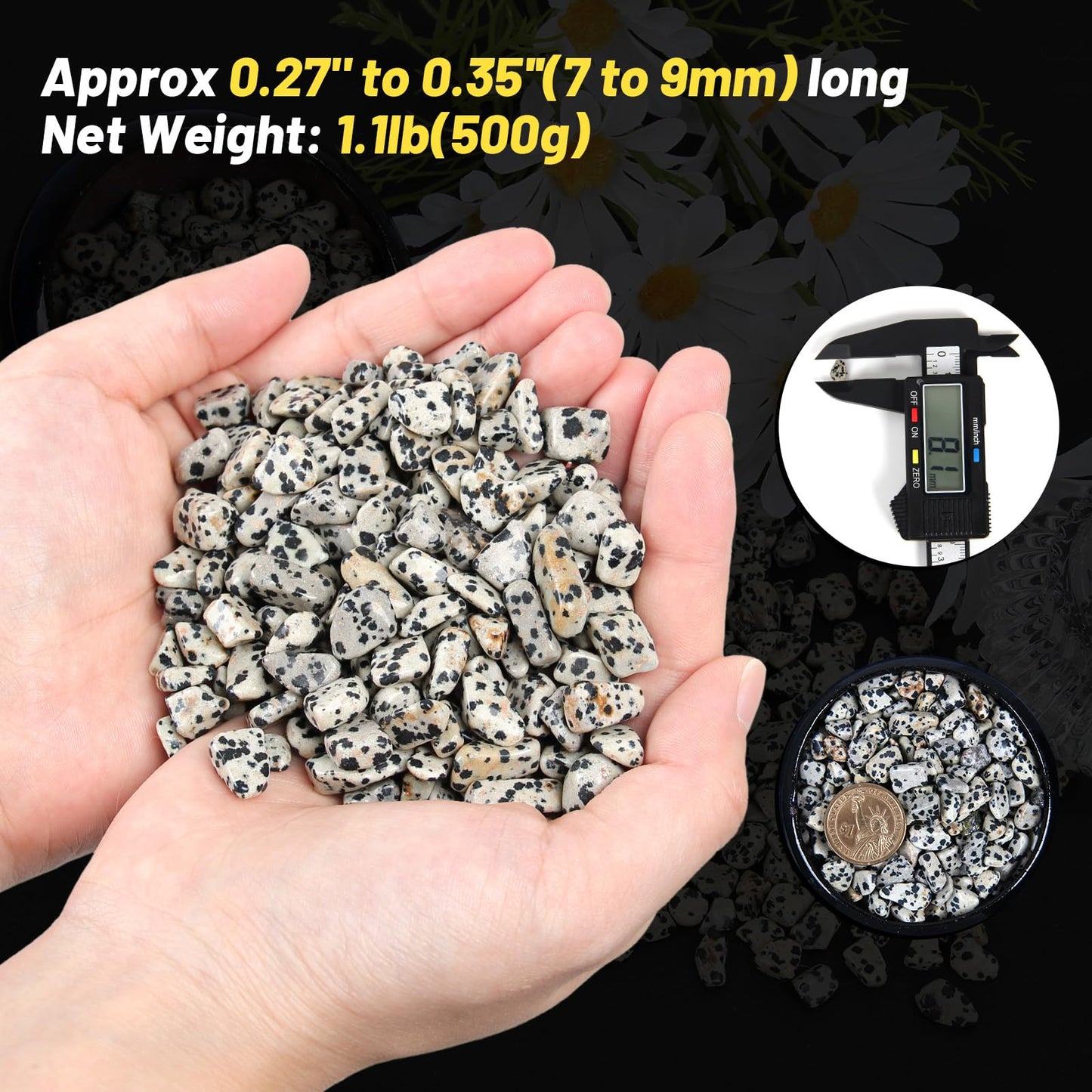 1.1lb Natural Crushed Dalmatian Jasper Crystal Tumbled Chips-Healing Crystals Chips Bulk, Crushed Crystal Gemstones for Crafts, Beautiful Package for Gift (Dalmatian Jasper)