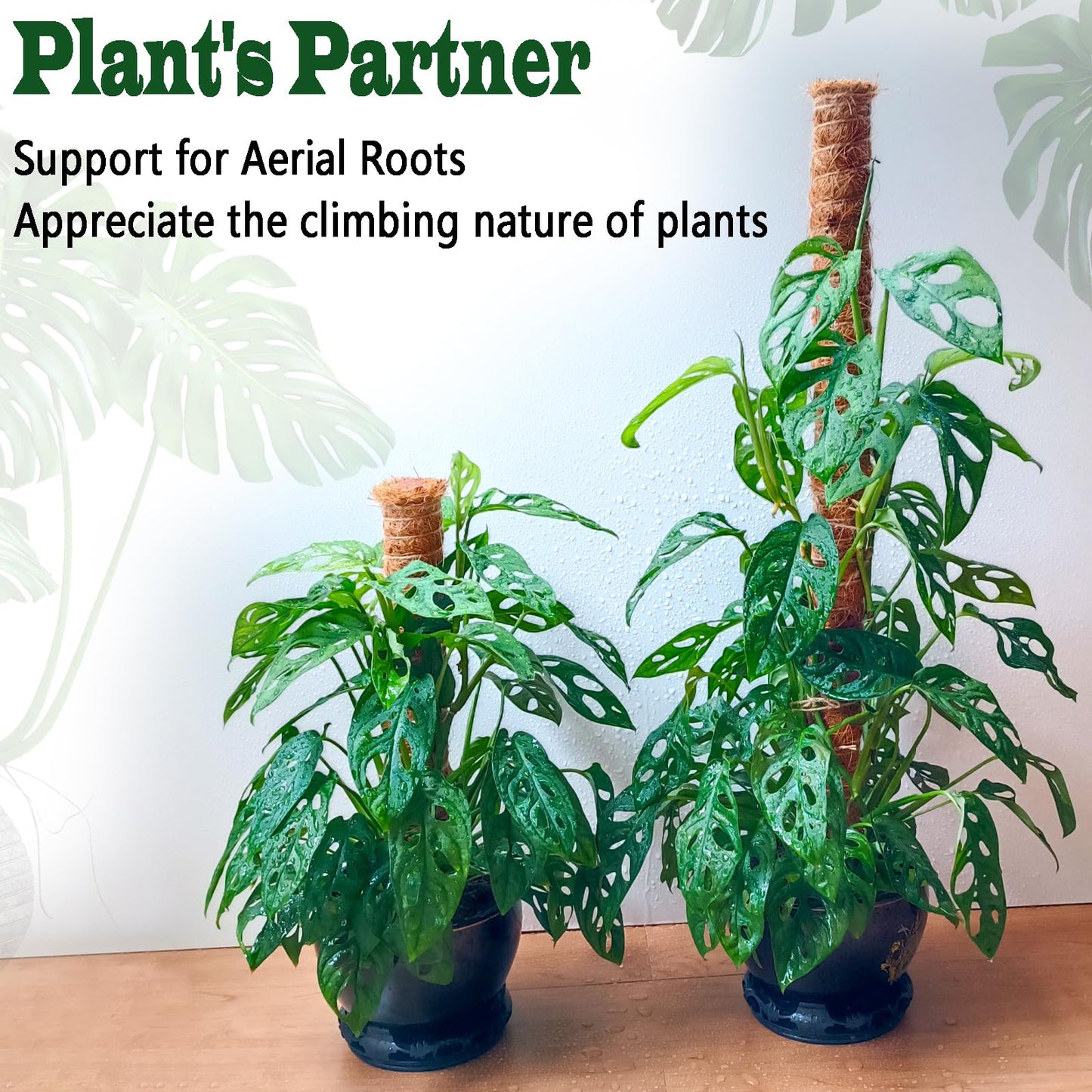 2 Pack 21 Inch Moss Poles, Stackable Moss Pole for Plants Monstera, 37 Inch Tall Moss Poles for Climbing Plants Indoor, Coir Totem Plant Support Stakes Stand for Potted Plants, Pothos