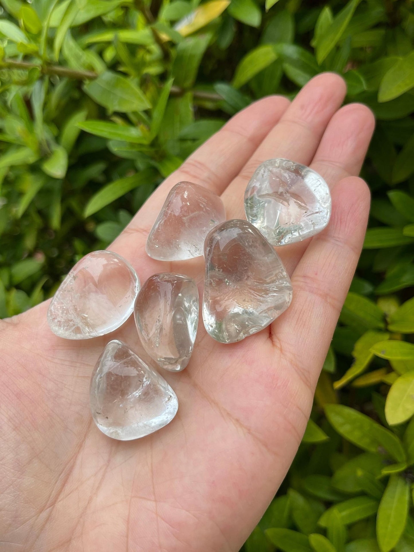GAF TREASURES 5 Pcs Clear Quartz Tumbled Stones, Polished Natural Clear Quartz Gemstone, Clear Quartz Healing Crystals (Clear Quartz)