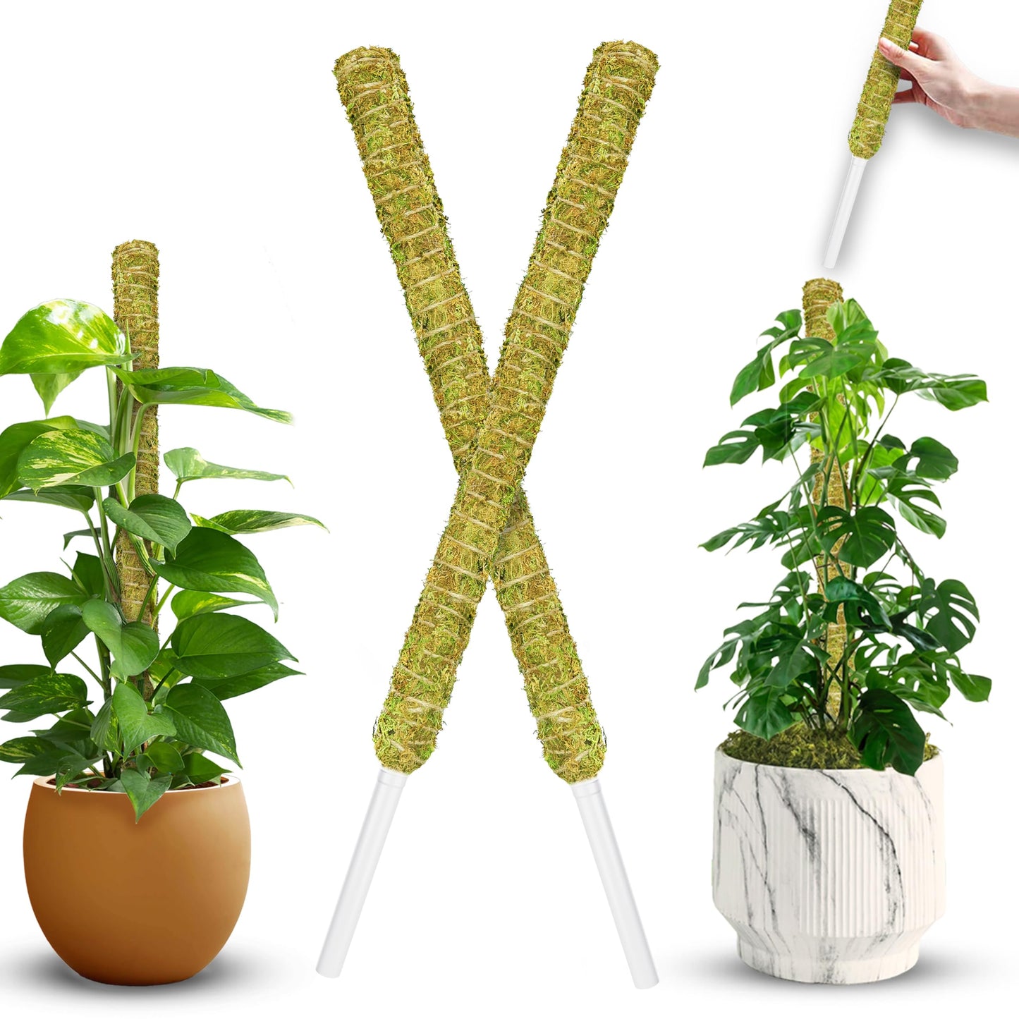 DUSPRO Natural Stackable Moss Pole for Plants Monstera, Forest Moss Sticks, Monstera Plant Support, Handmade Plant Stakes for Indoor Plants for Potted Plant to Grow Upward 02 pcs 22''