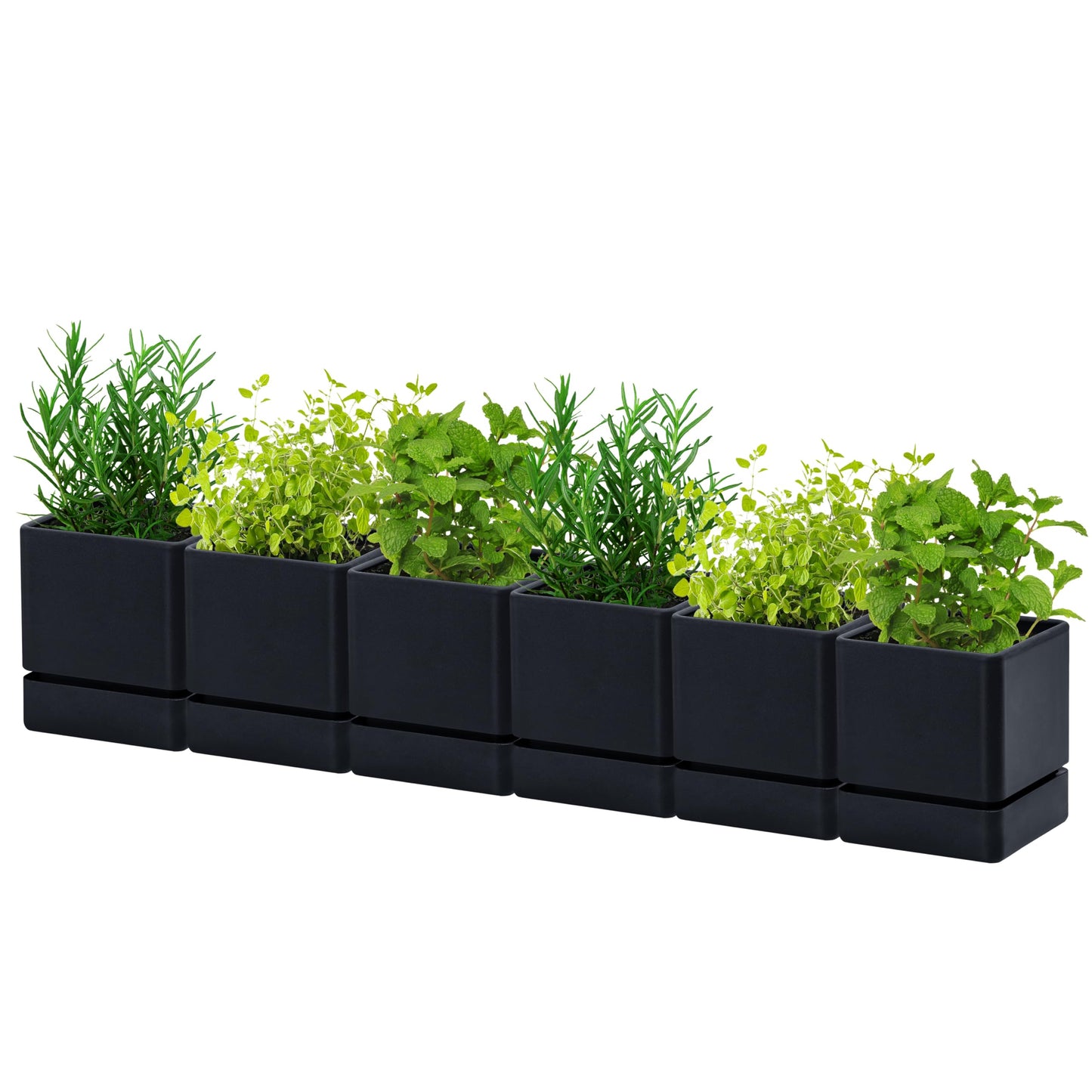 D'vine Dev 4 Inch Herb Planter Pot, Plastic Planter with Drainage Holes and Saucer, Modern Decorative Gardening Pot for Indoor Plants, Flowers, Herbs, Succulents, Black, Set of 6, 76-Y-B6-1