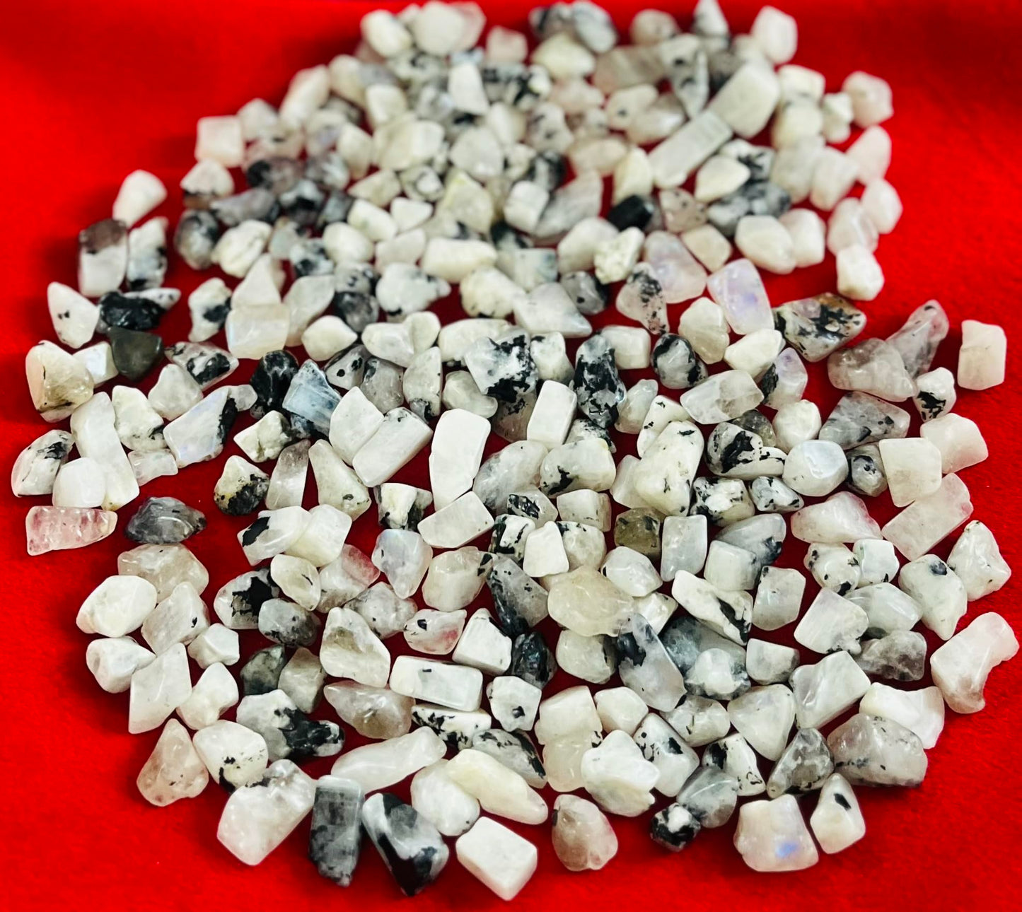Indian Consigners Natural Crushed Polished Tumbled Gem Stone Chips, Decoration & Healing Crystals (Rainbow Moonstone)