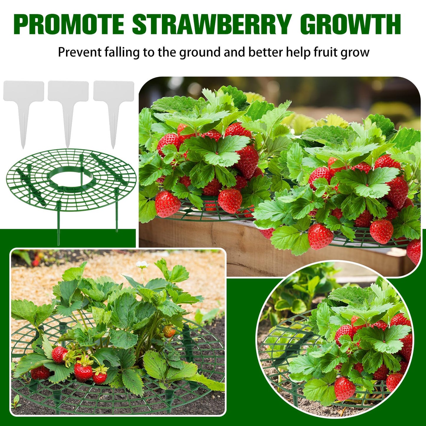 Irenare 24 Pack Strawberry Plant Support with Plant Labels Large Size Strawberry Growing Racks Growing Frame Stand Holder for Keeping Garden Strawberry Clean
