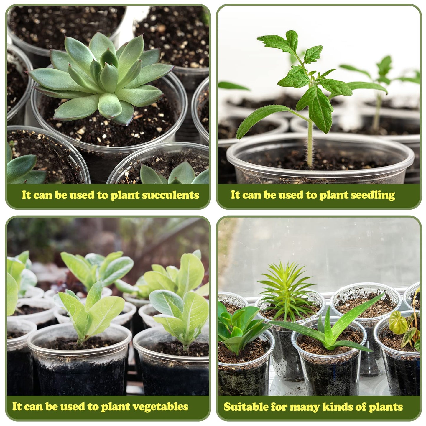 RAOOKIF 6/5/3.5 Inch Clear Nursery Pots with Drainage, 24 Pack Clear Nursery Pots for Plants, Flexible Plastic Garden Flower Pot