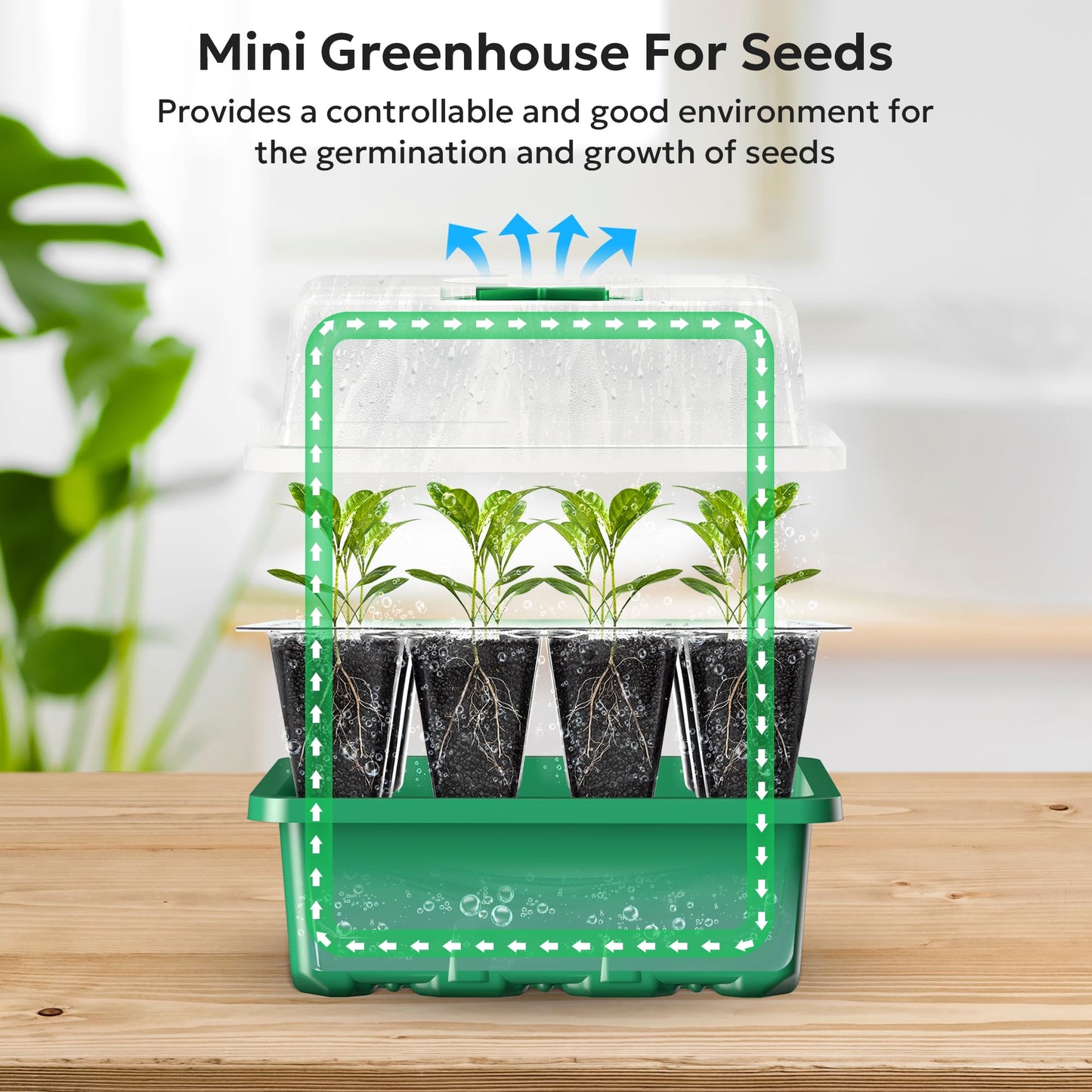 MIXC 10 Packs Seed Starter Tray +30 Packs Plant Nursery Pots