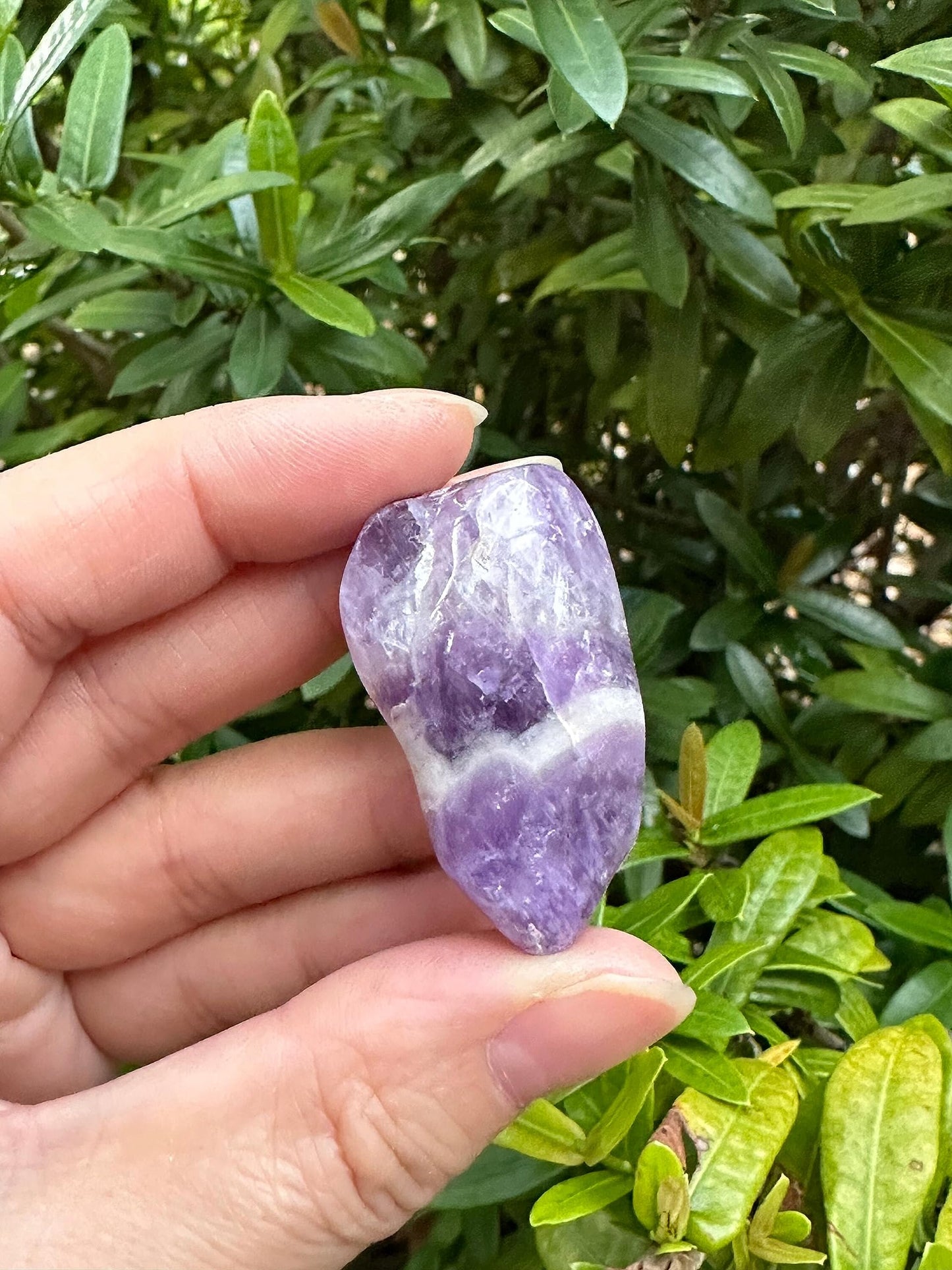 GAF TREASURES 5 Pcs Chevron Amethyst Tumbled Stones, Polished Chevron Amethyst Gemstone, Chevron Amethyst Healing Crystals (Chevron Amethyst)