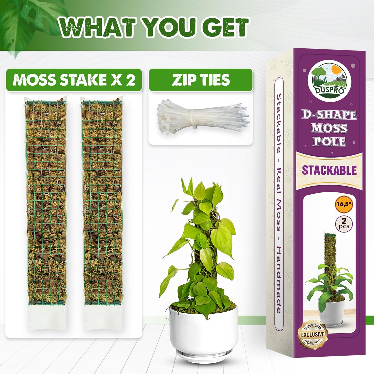 DUSPRO D-Shaped Plastic Moss Poles for Climbing Plants Monstera Stackable Moss Pole for Plants Moss Plant Pole Handmade Moss Stick for Indoor Plants Grow Upward 2 Pack 16.5 inches