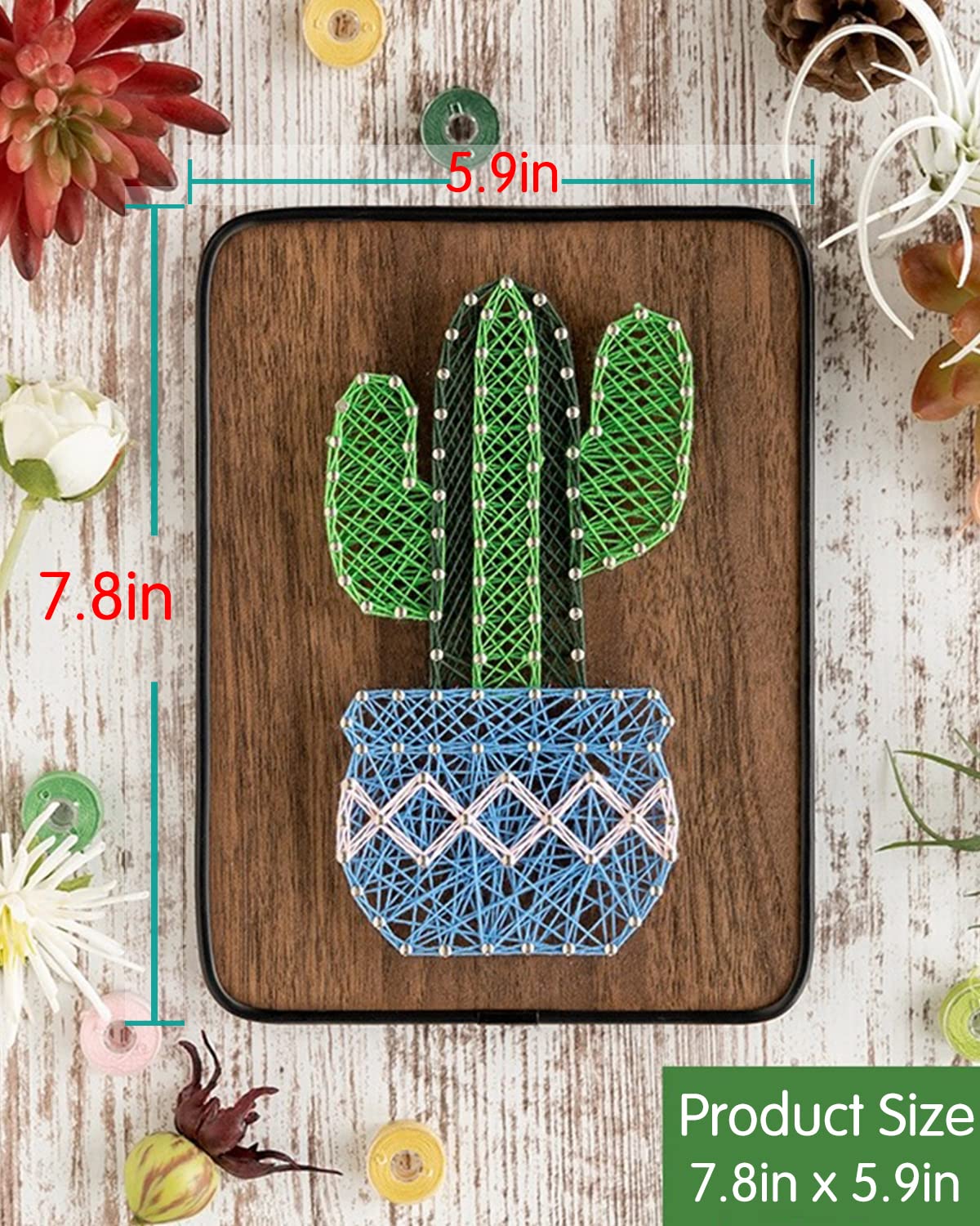 BAZIMA DIY String Art Kit for Beginner,Cactus String Art,DIY Cactus Potted Craft Kit,Unique Gift,Craft Kit for Holidays