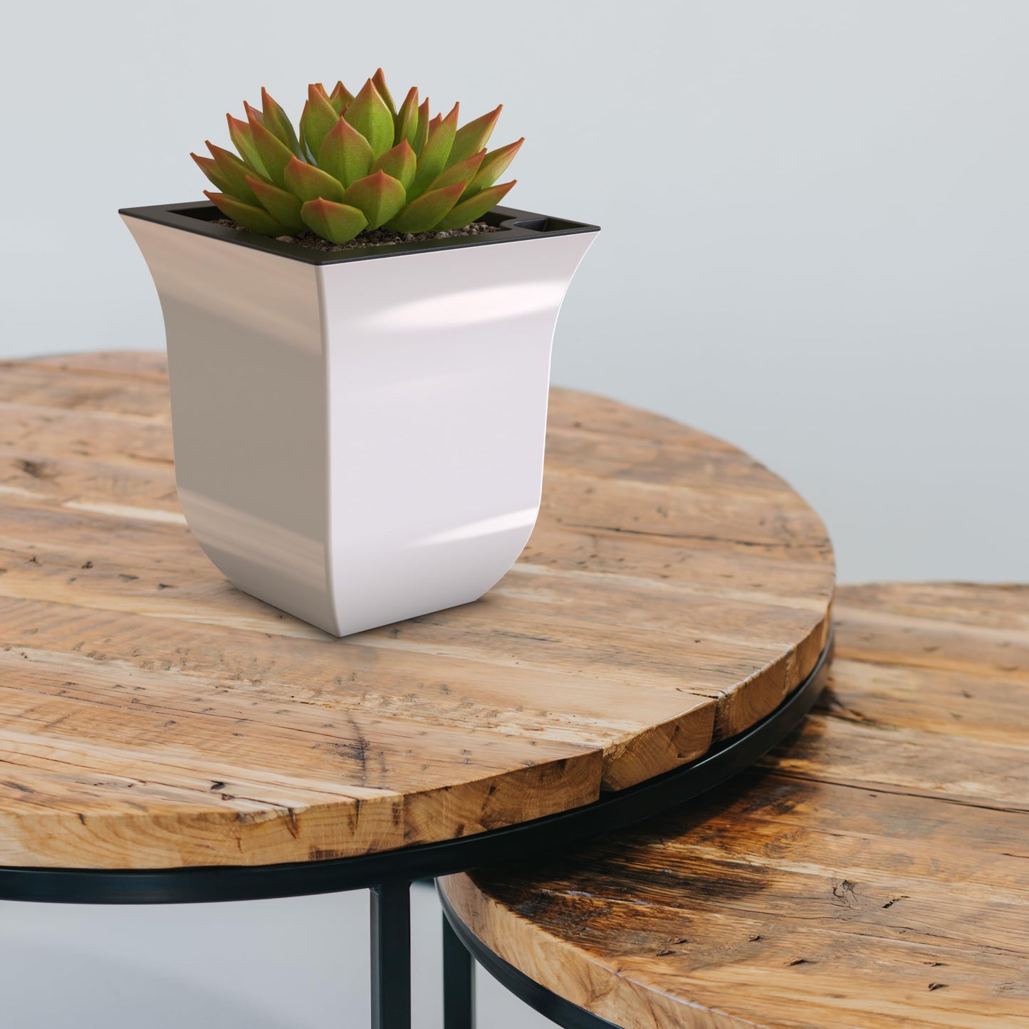 Valencia 8in Planter - White