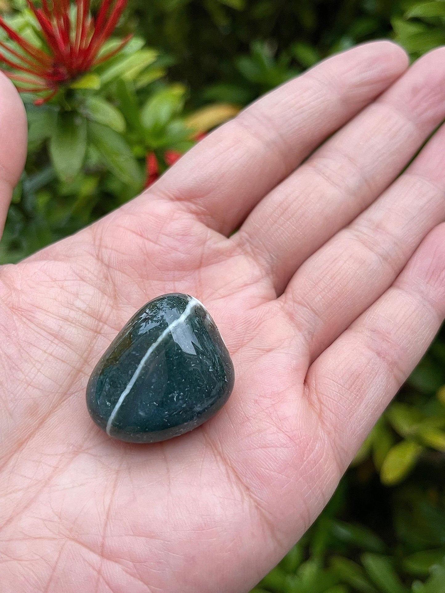 GAF TREASURES 5 Pcs Moss Agate Tumbled Stones, Polished Natural Moss Agate Gemstone, Moss Agate Healing Crystals (Moss Agate)
