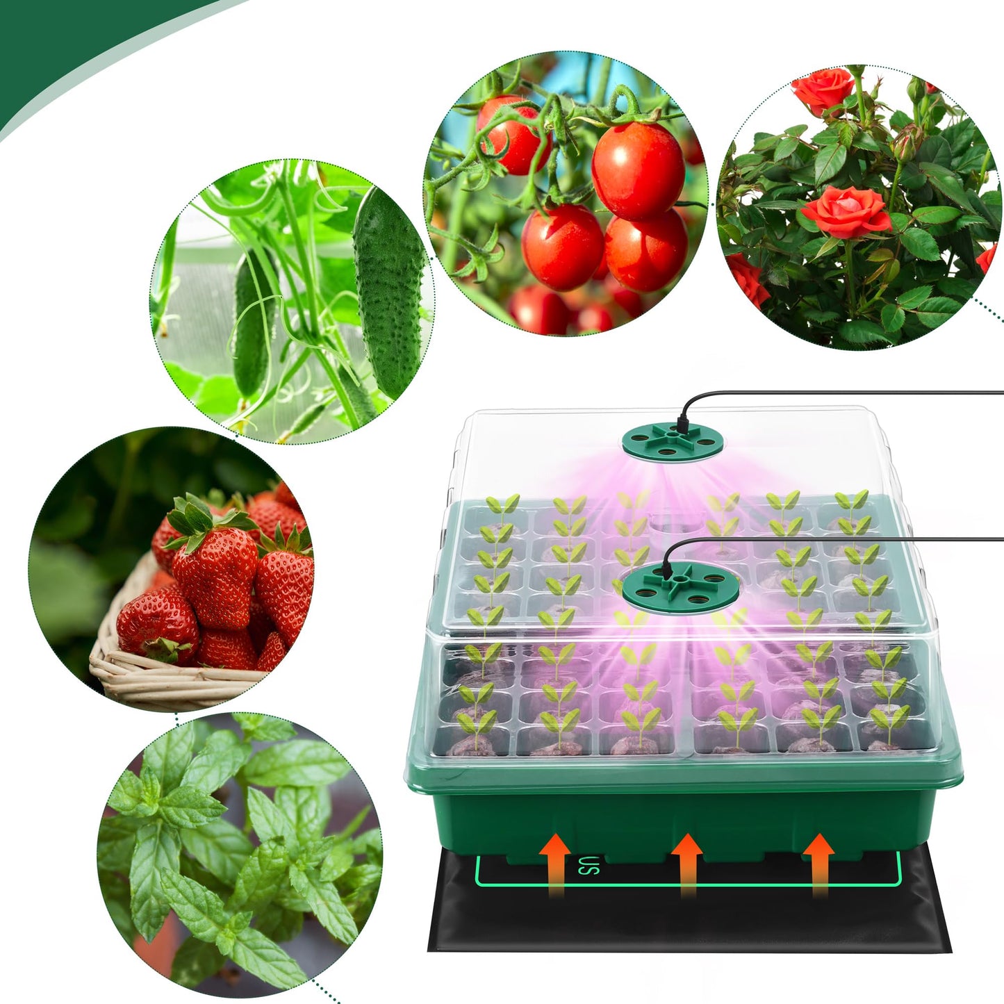Hahood Seed Starter Kit with Grow Light Seedling Heat Mat 48 Cells Seed Starter Tray with Humidity Dome and Base Germination Trays Plastic Growing Trays Plant Propagation Kit for Seed Starting, Green