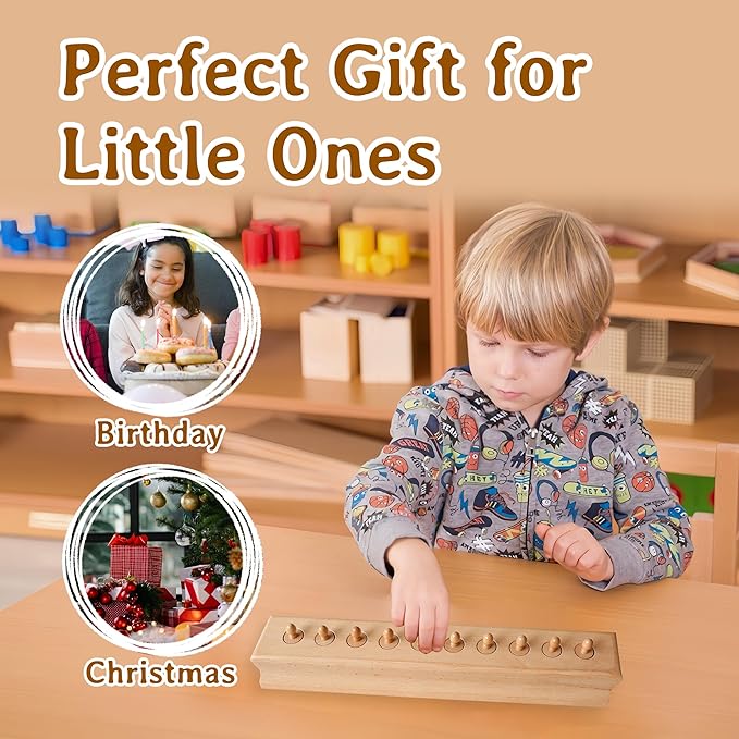 MONTESSORI OUTLET Cylinder Block (Part 4) for Children Aged 3-6 Montessori Education at School and Home