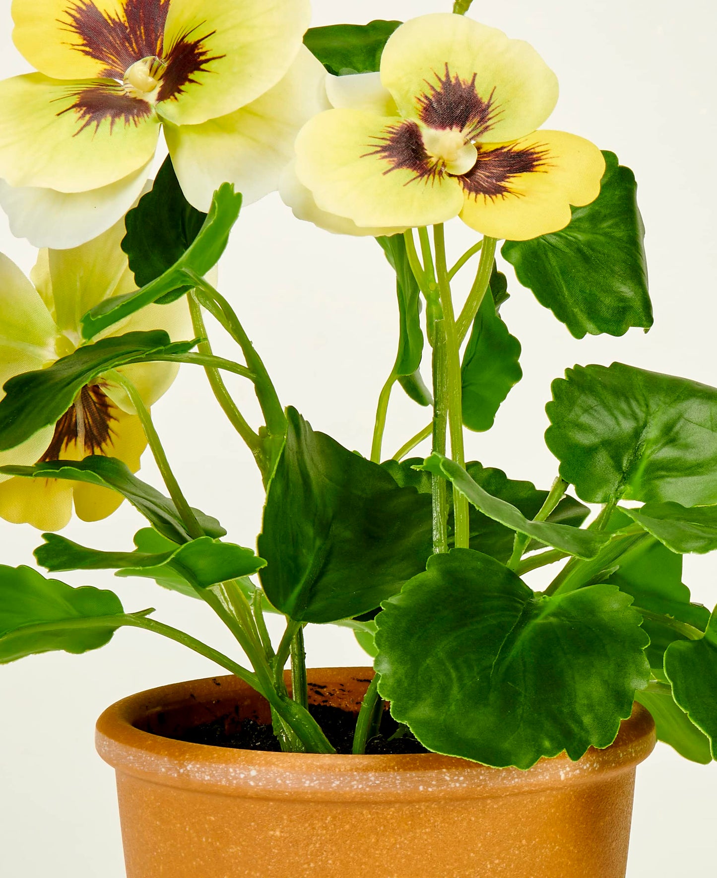 Worth Imports 10" Yellow Pansy in 4" Pot