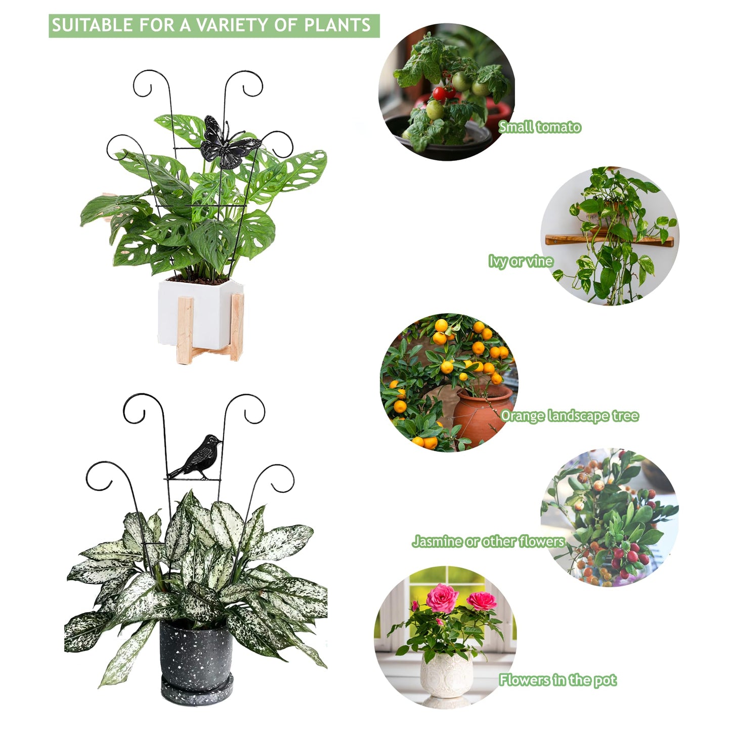 LONCHDAN Indoor Plant Trellis for Climbing Plants Indoor Trellis Indoor Metal Trellis 4 Pack for Garden Plants Support Small House Plant Trellis for Vines, Flower