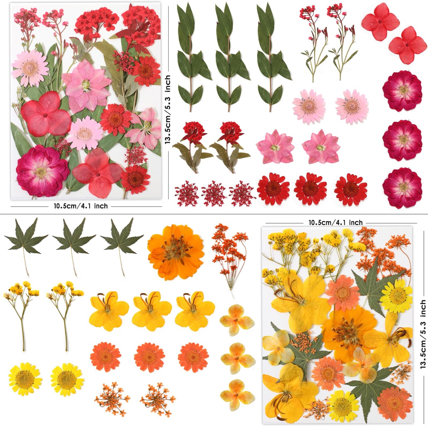 LUXEEASE 80 Pcs Dried Flowers for Crafts, Real Natural Dried Pressed Flowers in Vibrant Colors for Resin, DIY Art, Jewelry, Candle & Soap Making – Tweezers Included