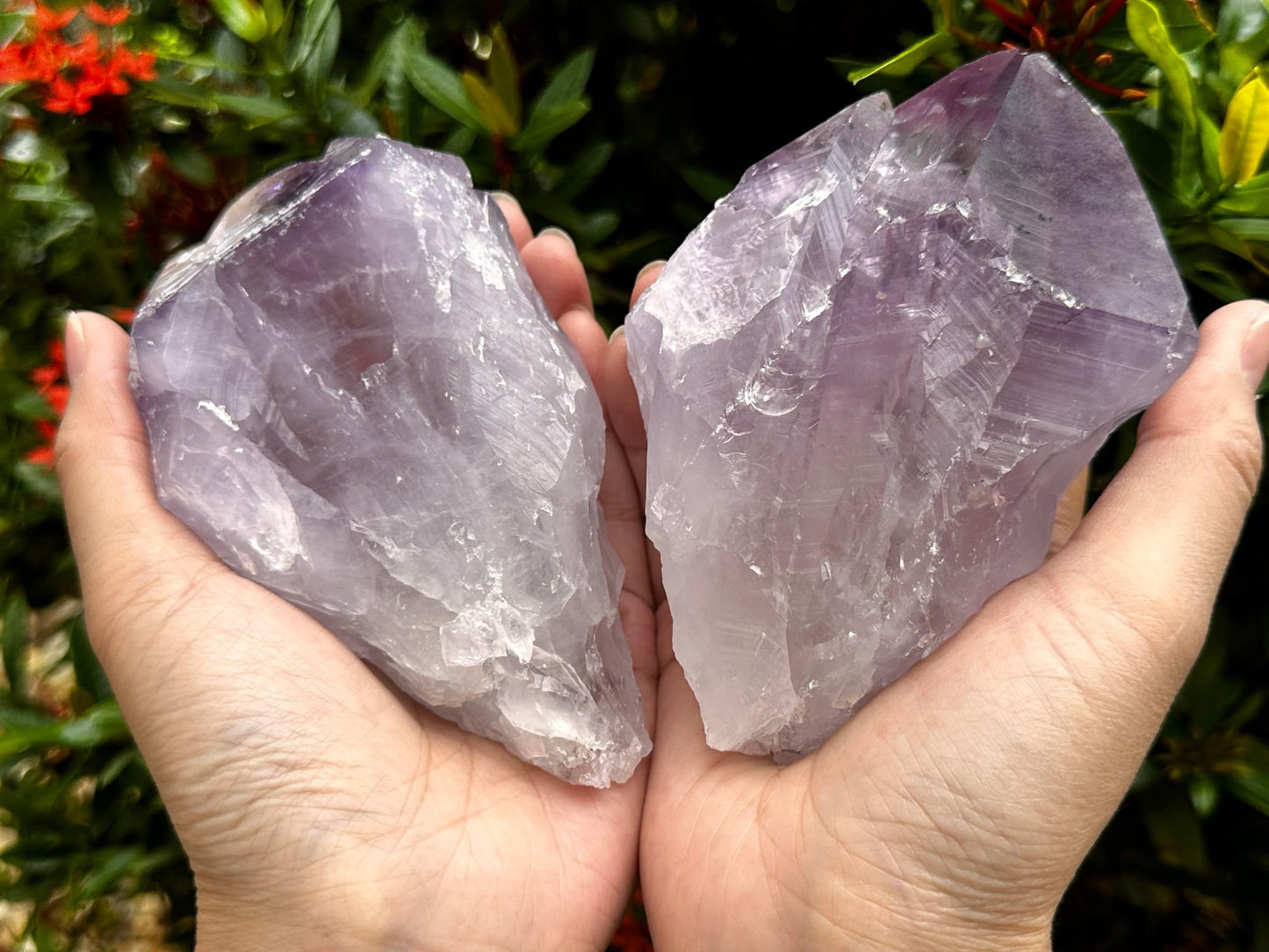 GAF TREASURES XL Raw Amethyst Point 3-4"- Natural Amethyst Healing Stone for Meditation, Energy Work & Home Decor (0.5-1 lb)
