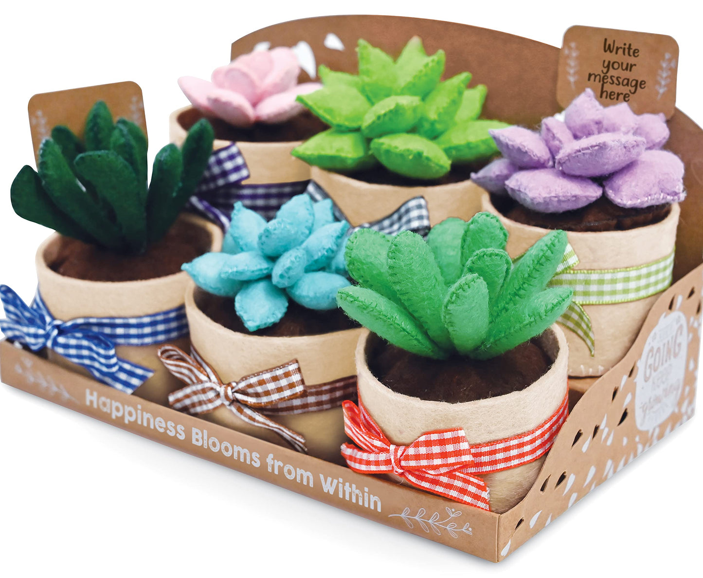 Felt Succulents Craft Kit. Make 6 Potted Colorful Plushies & A Display Rack. Mini Garden DIY Sewing Project, Activity Set, Arts & Crafts Supplies - Great Gift for Teens and Adults