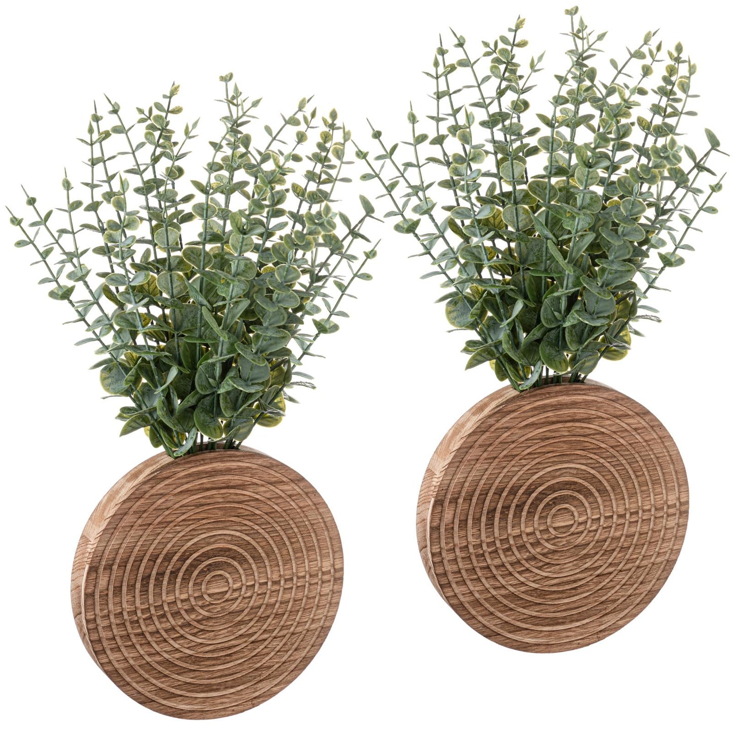 Teecyhooo 2 Pack Wooden Round Wall Vase for Indoor Plants Boho Modern Farmhouse Wall Decoration for Living Room, Bathroom Entryway, Hallway Artificial Flower Plants