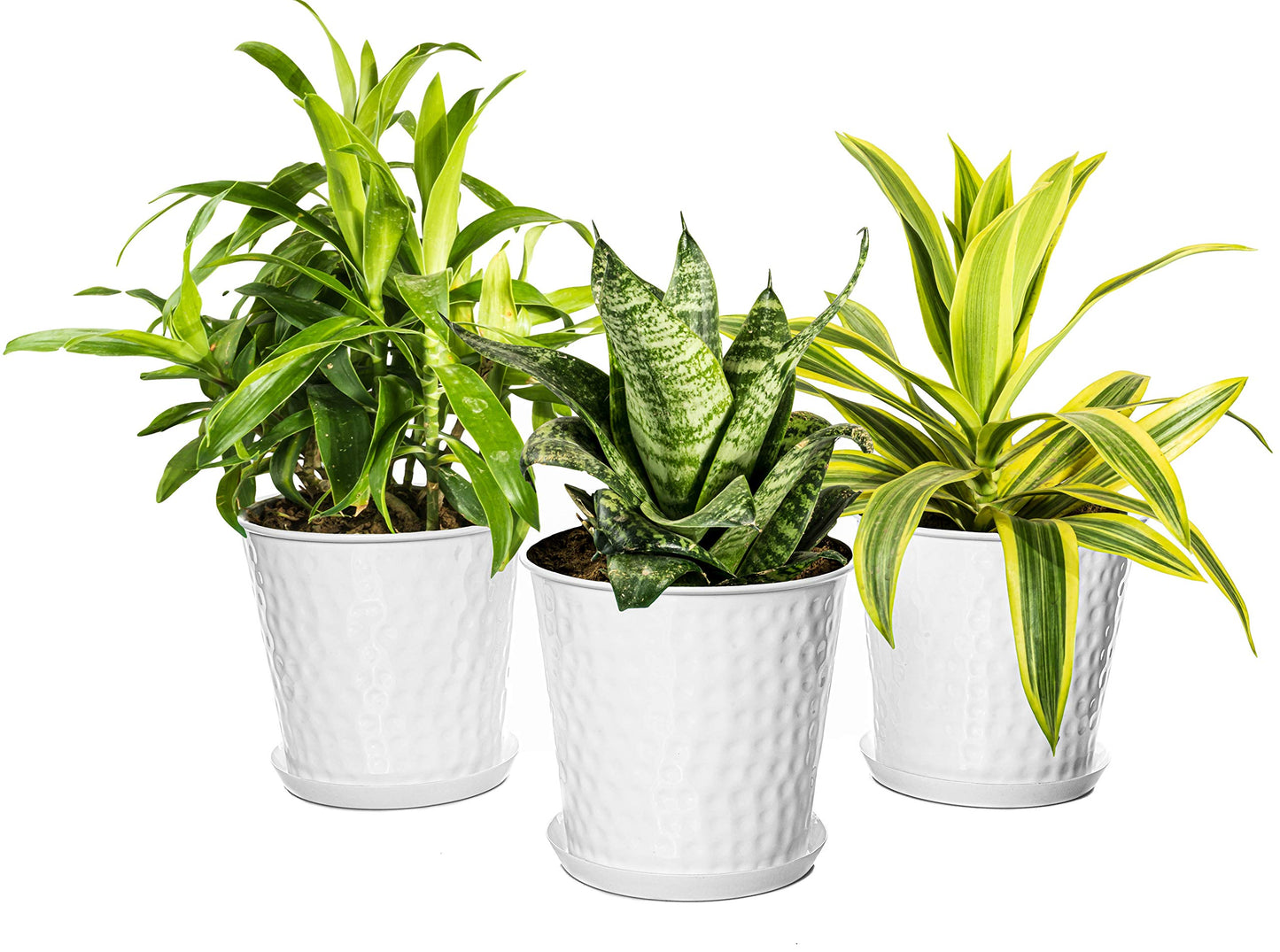 Monarch Abode 20010 Indoor Plants (Set of 3) Hand Hammered Flower Succulent Pots Planter with Drainage Hole, Classic White