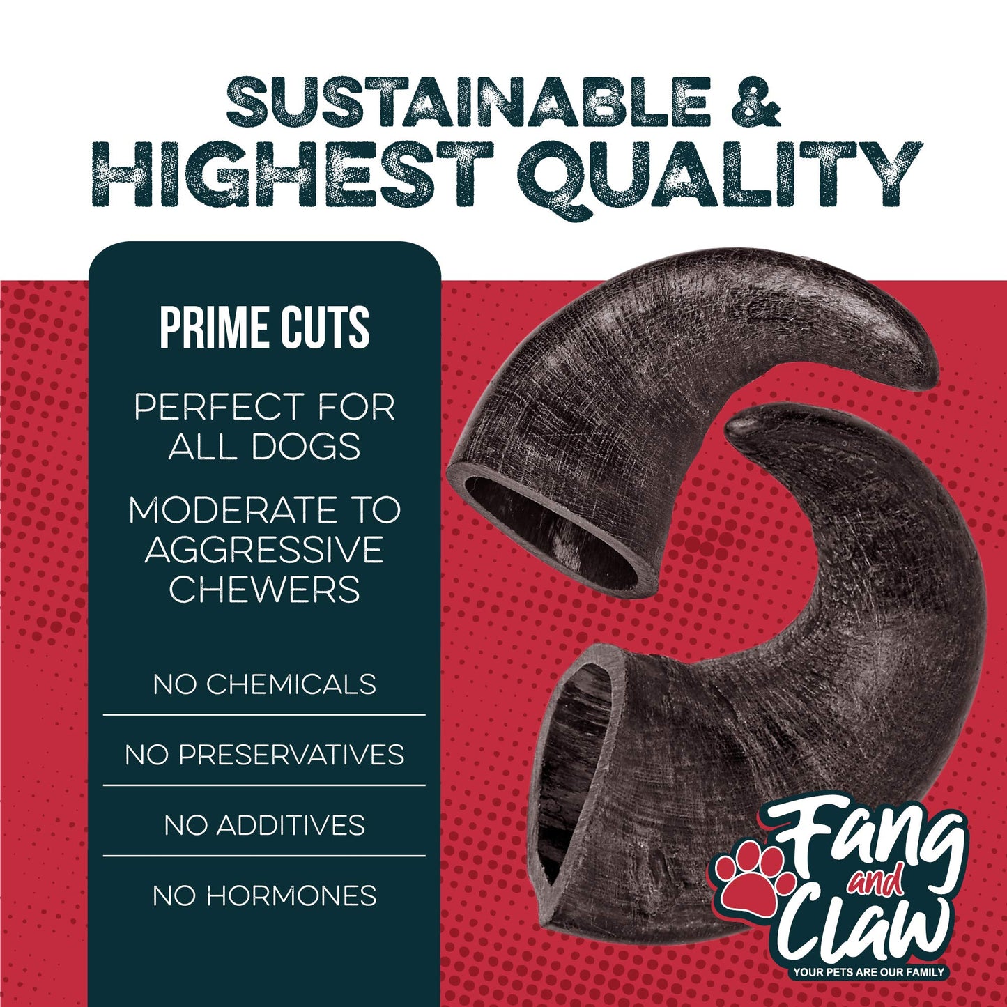 Fang and Claw Water Buffalo Horn Dog Chew 4 Pack (Medium 6 Inch), Long-Lasting Natural Chews for Aggressive Chewers, Single-Ingredient, No Rawhide