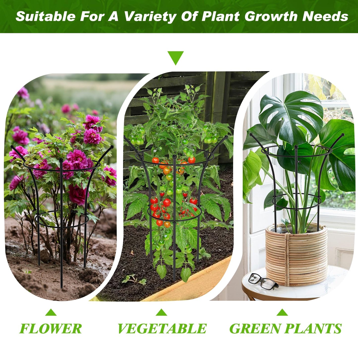 4 Pack Peony Cages and Supports, 12.5" Dx24 H Plant Supports for Outdoor Plants, Double-Ring Metal Peony Support Cage, Natural Bouquet Shape Plant Support Rings for Rose Tomato Hydrangea Strawberry