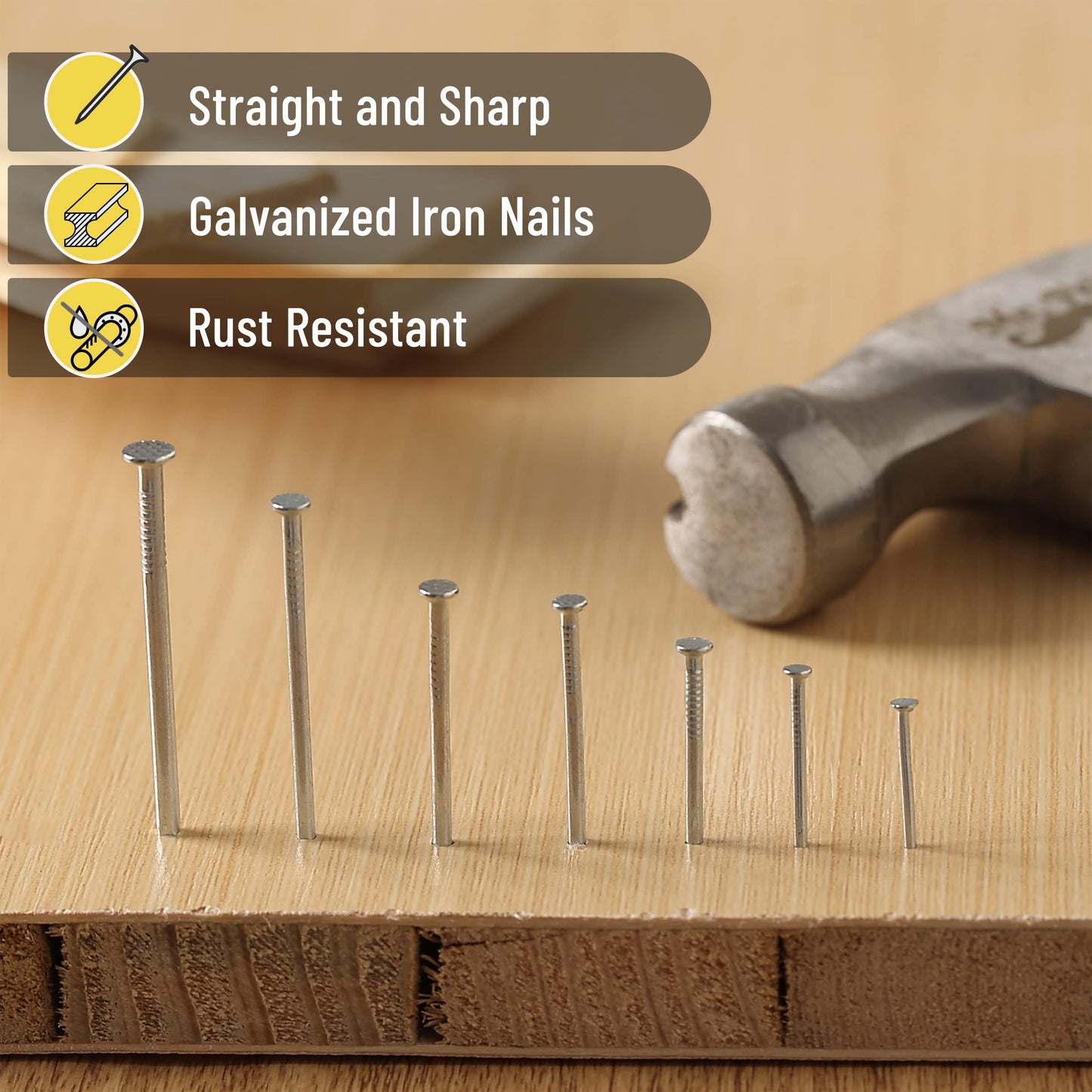 Mr. Pen- Nail Assortment Kit, 1500 Pcs, Assorted 12 Sizes Brad Head and Flat Head Nails, Small Nails for Hanging Pictures Bulk