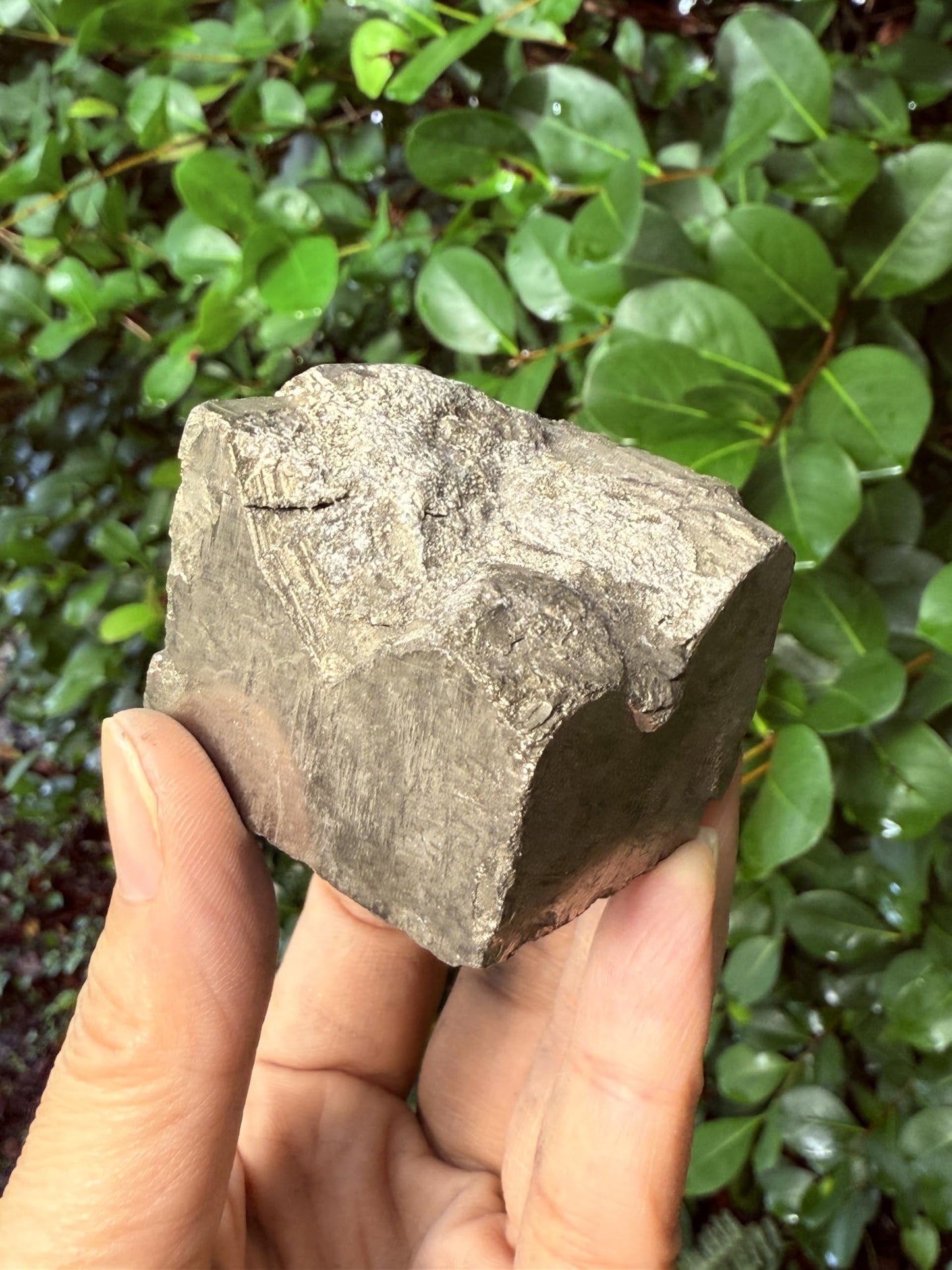 GAF TREASURES XL Raw Pyrite Cube, 3-4" Natural Rough Pyrite Cube, Pyrite Cube Rough, Pyrite Cube Healing Rough Crystal (Pyrite Cube, 0.5-1 lb)