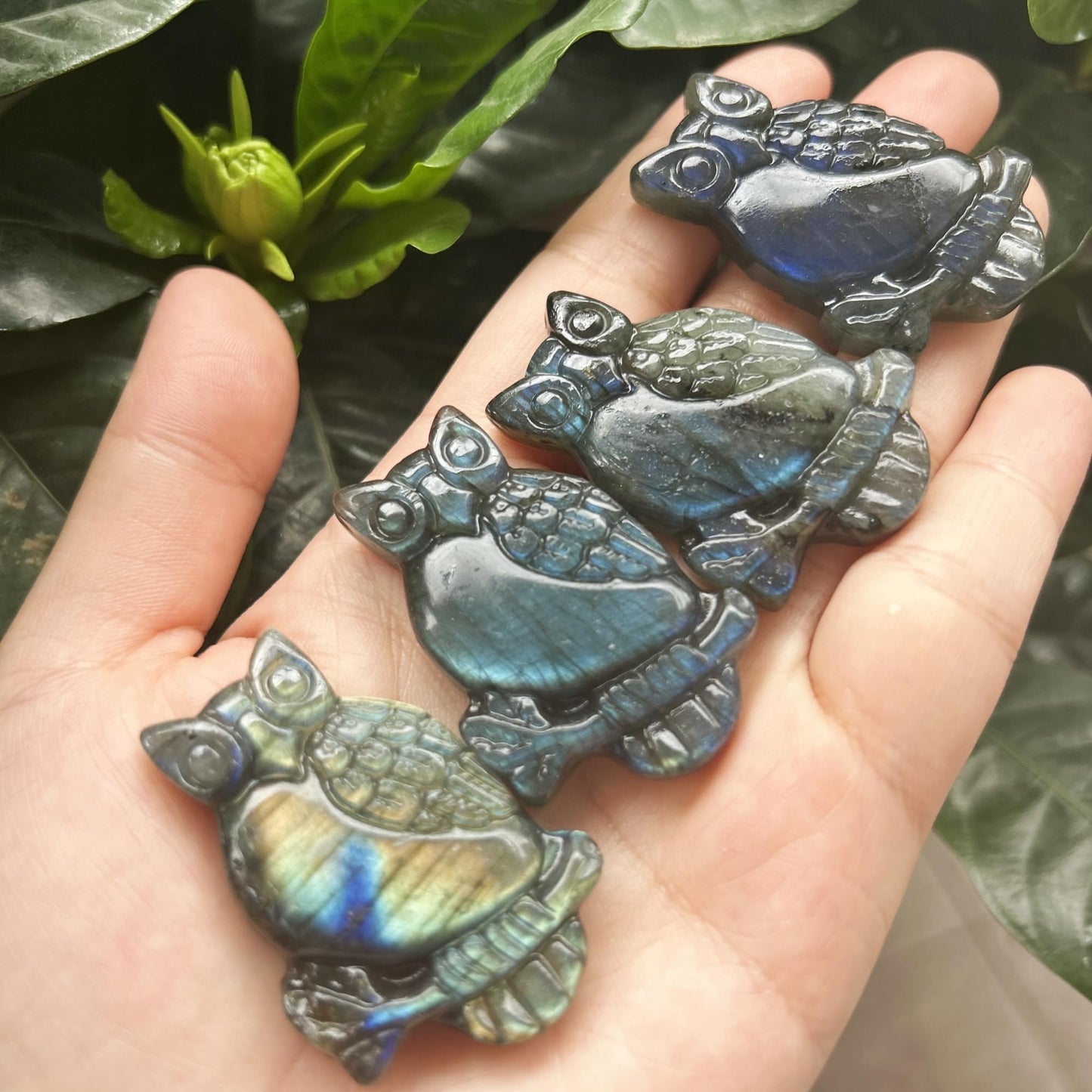Bacatgem Natural Labradorite Owl Figurines Crystals and Healing Stones,Haped DIY Pendant
