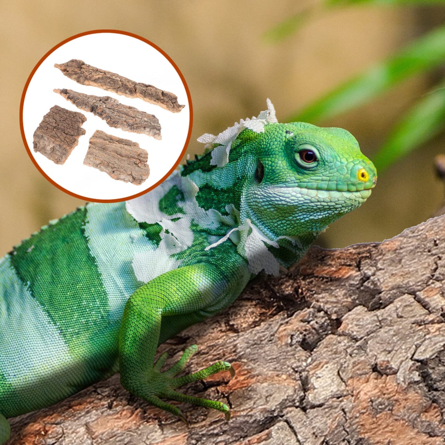 balacoo Reptile Bark Climbing Tree Decor 9.05In Natural Cork Wood Terrarium Accessories Reptile Hideout for Snakes Lizards Tortoise Habitat