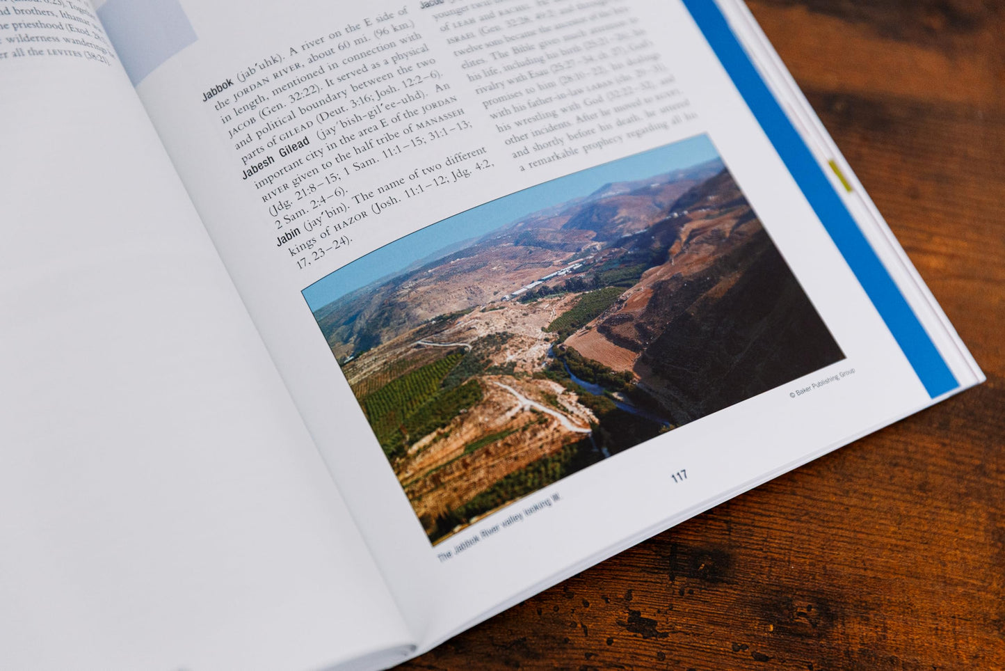 The Essential Bible Companion: Key Insights for Reading God’s Word (NIV Application Commentary Resources)