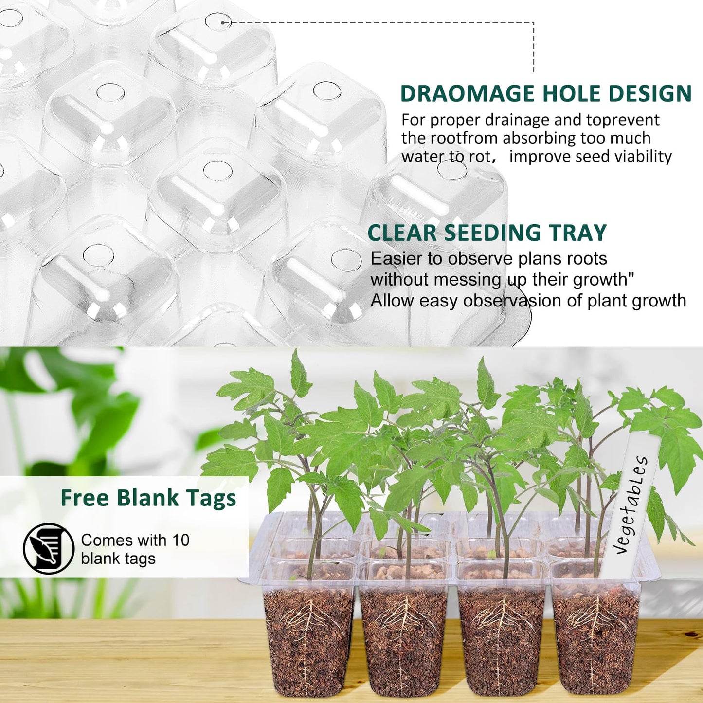 Tuidshui Seed Starter Tray with Grow Lights 5 PCS Kit Humidity Dome Adjustable Brightness Timer Controller 8 LED Seedling Trays with Tall Lid Mini Greenhouse for Staring Seedlings