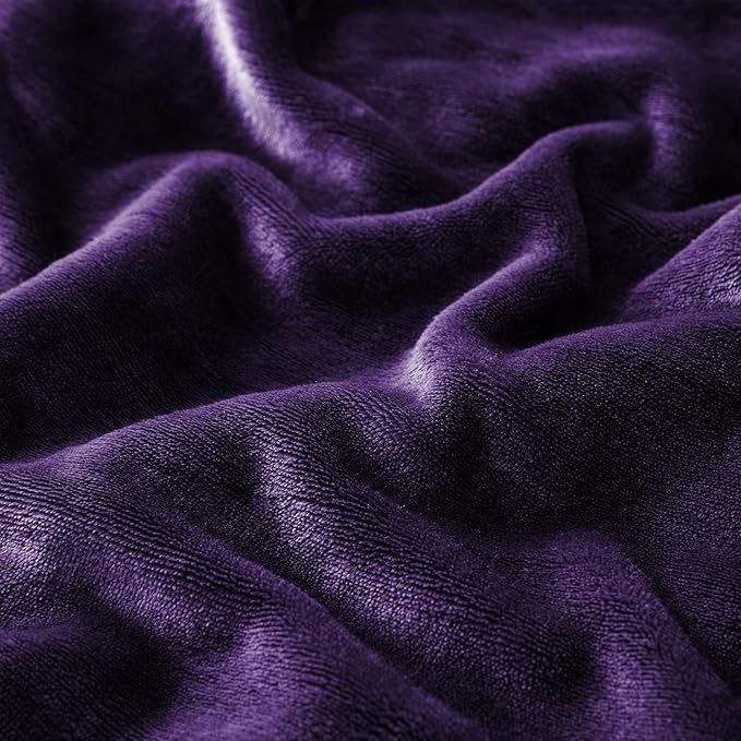 IR Imperial Rooms Sherpa Fleece Throw Blanket Twin Size for Couch - Thick and Warm Fluffy Purple Blankets for Winter, Soft and Fuzzy Twin Blanket for Bed, 60x80 Inches
