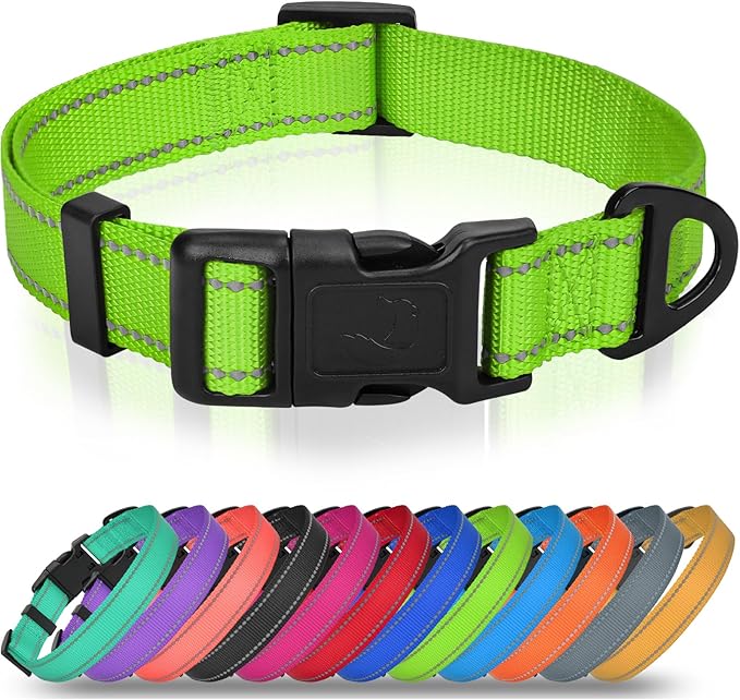 Joytale Feather-Light Dog Collar for Medium & Large Dogs, 1", Red