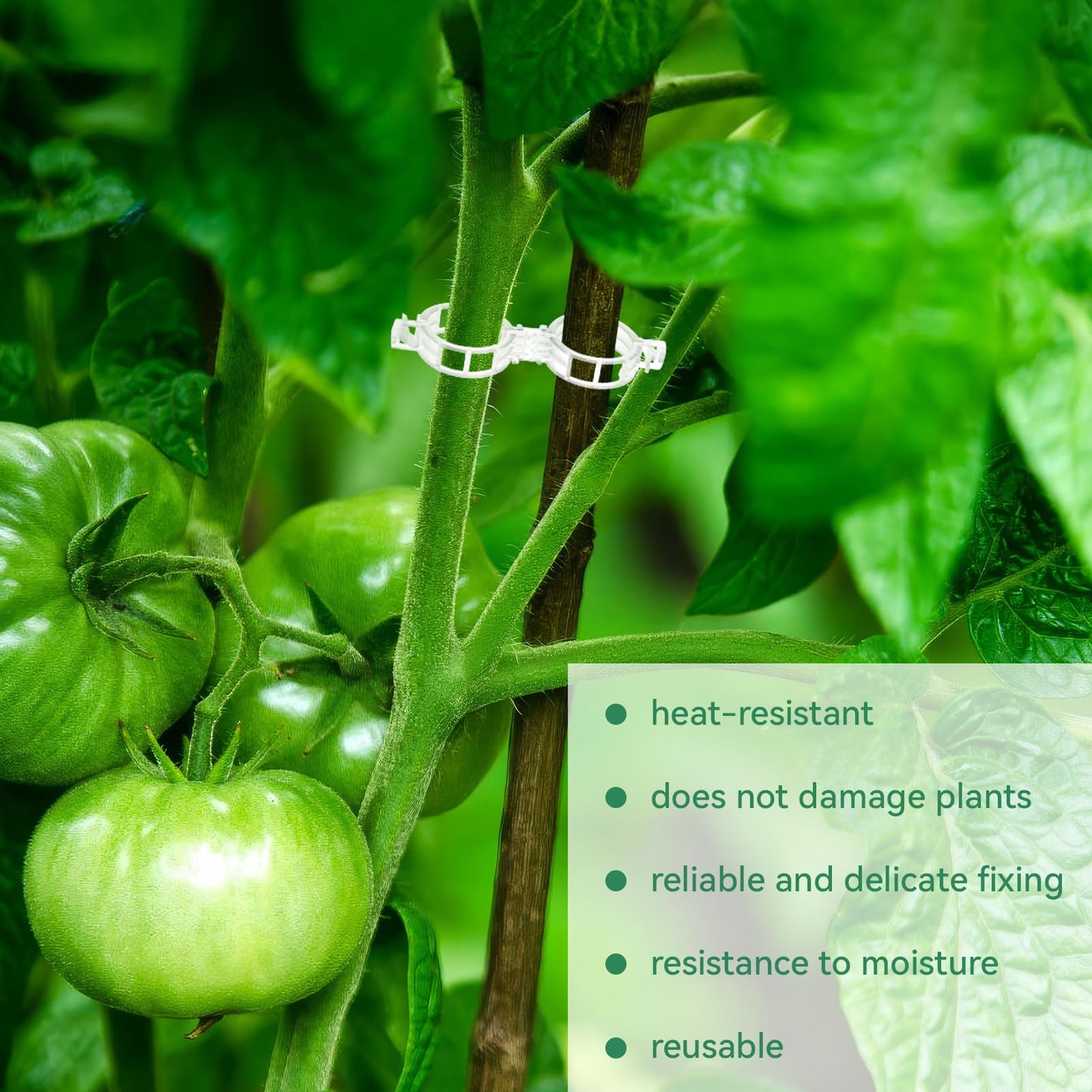 300 Pcs Plant Clips for Climbing Plants, Tomato Clips for Support, Plastic Garden Clips for Plants Grape Vine Vegetables Make Plant Grow Upright