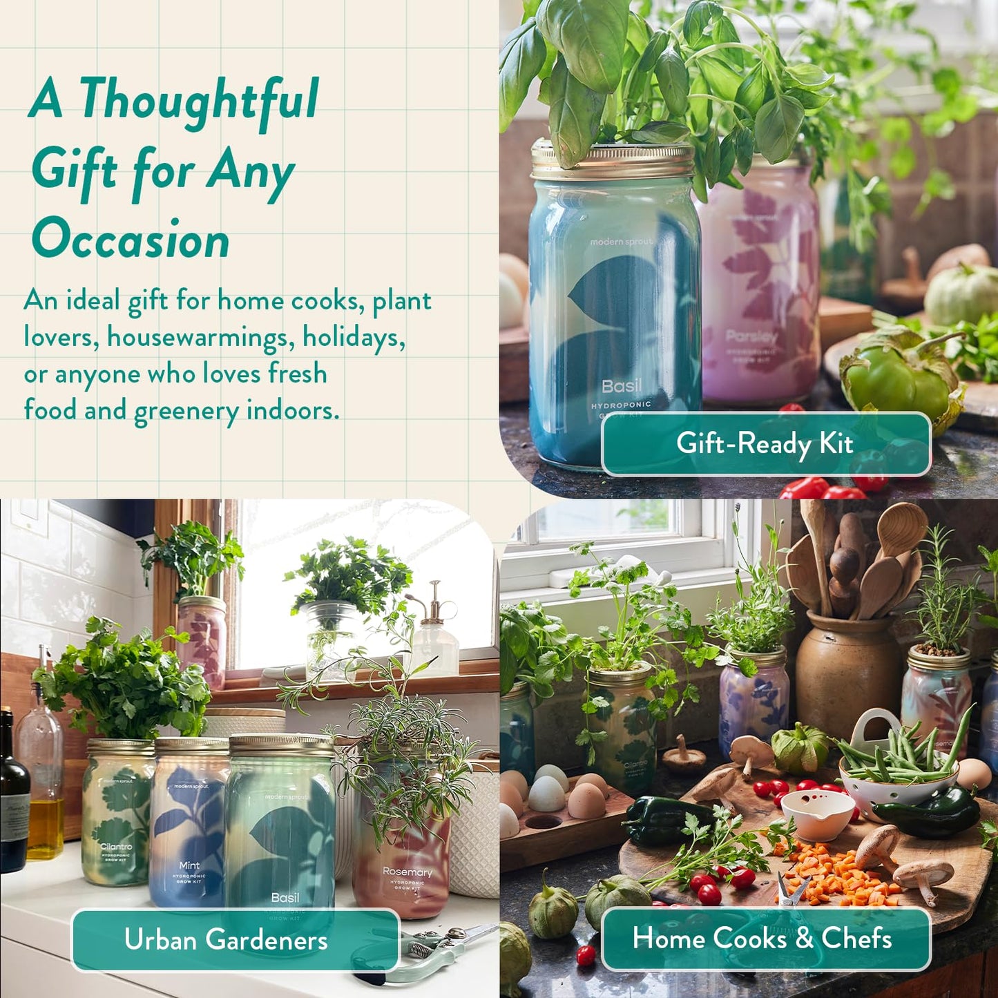 Modern Sprout Mason Garden Jar - Self-Watering Hydroponics Growing System Kit with Organic Herb Seeds - Jar Planter for Indoor Herb Garden - Seed Starter Kit - Home Decor & Gifting - Basil