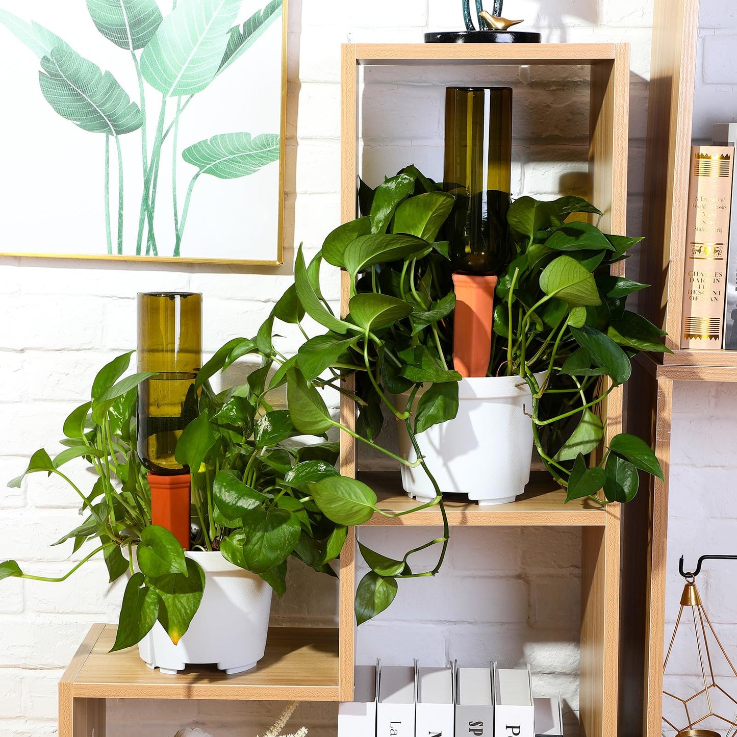 SiliFine 6 Sets Plant Watering Devices Include Terracotta Self Watering Spikes and 26 oz Plastic Bottles, Slow Release Vacation Insert Automatic Plant Waterer Device (Green Clear Brown and Terracotta)
