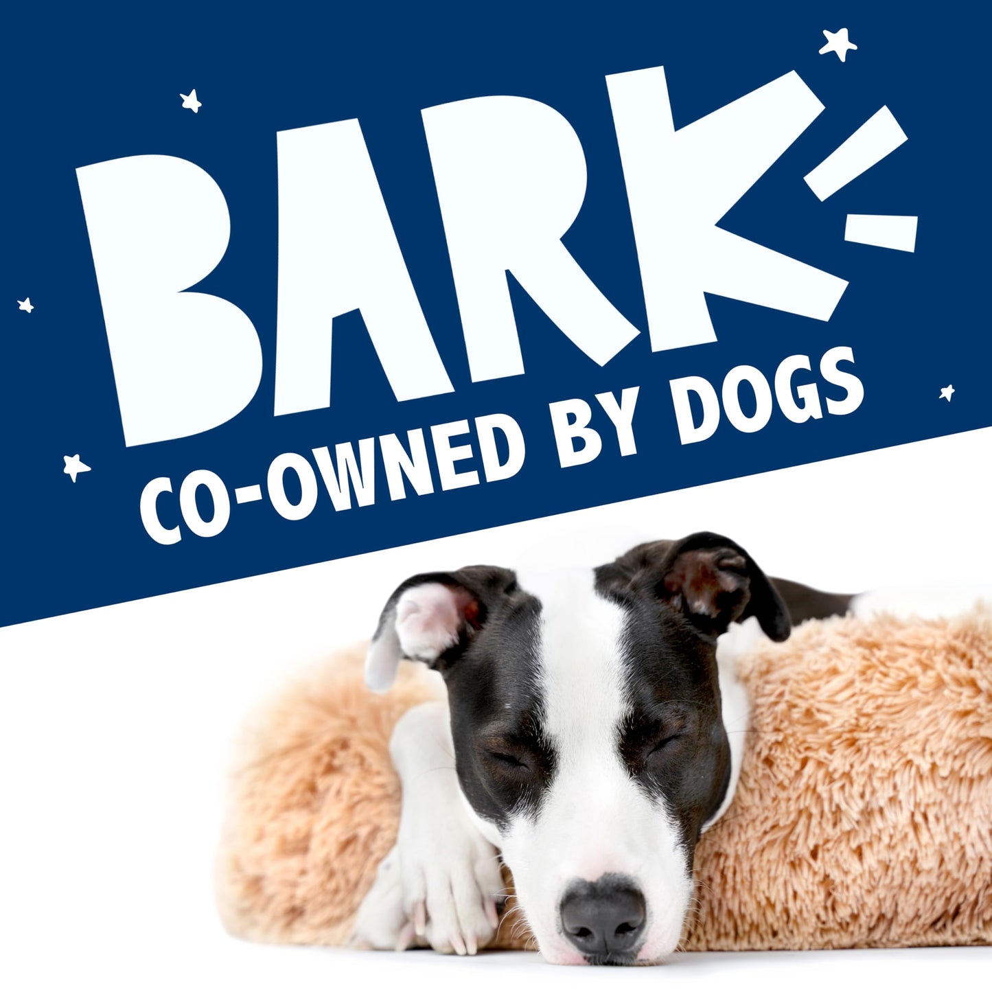 Barkbox Dog Bed, 2-in-1 Memory Foam Donut Cuddler Dog and Cat Bed, Calming Orthopedic Joint Relief Fur Crate Lounger for Pets, Machine Washable + Removable Cover, Waterproof Lining, Includes Toy