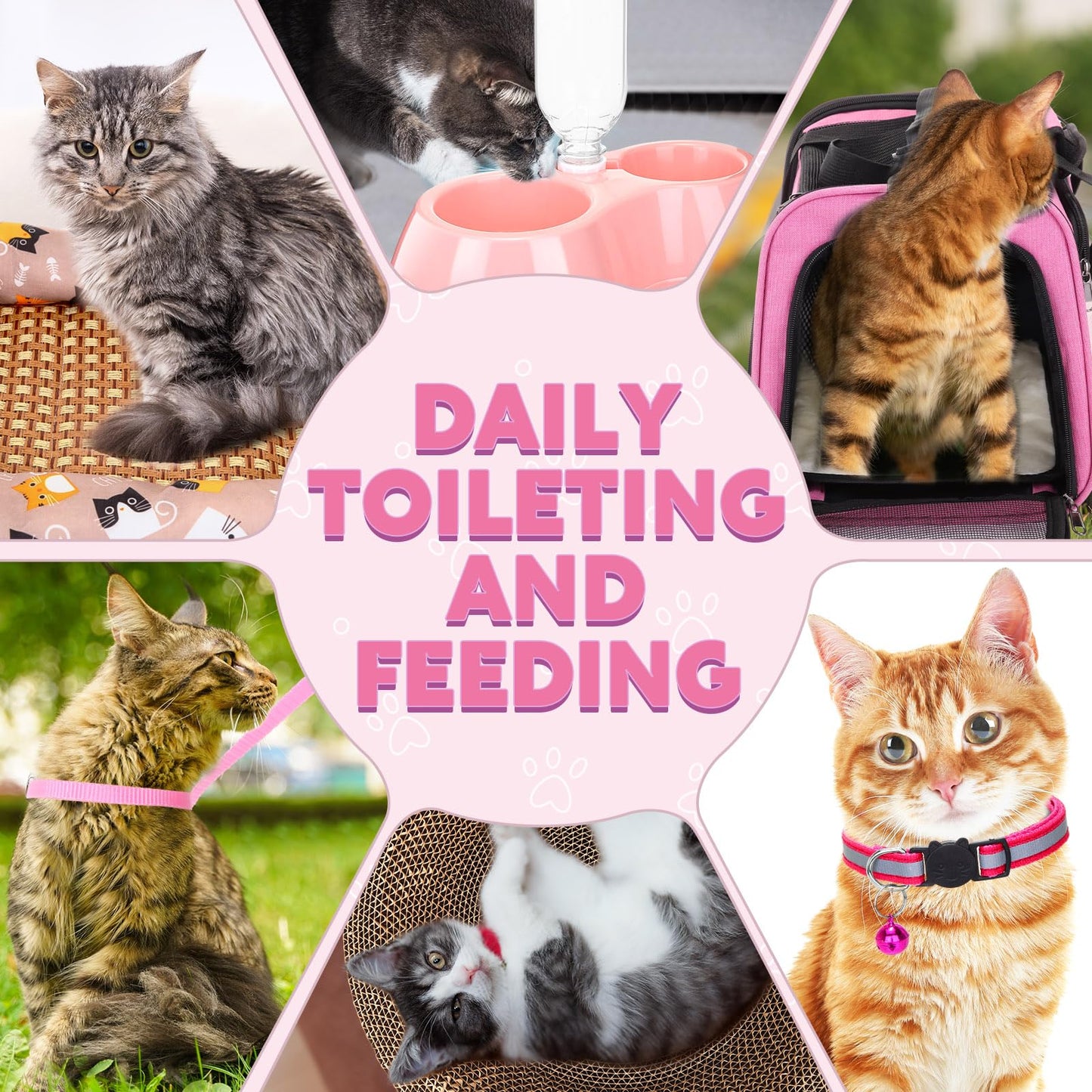PullCrease 38 Pcs Kitten Supplies Starter Kit Cat Essentials Set Include Cat Scratcher Cardboard Stainless Steel Litter Box Bed Carrier Kitten Toys Accessories for Welcome Gift Supplies
