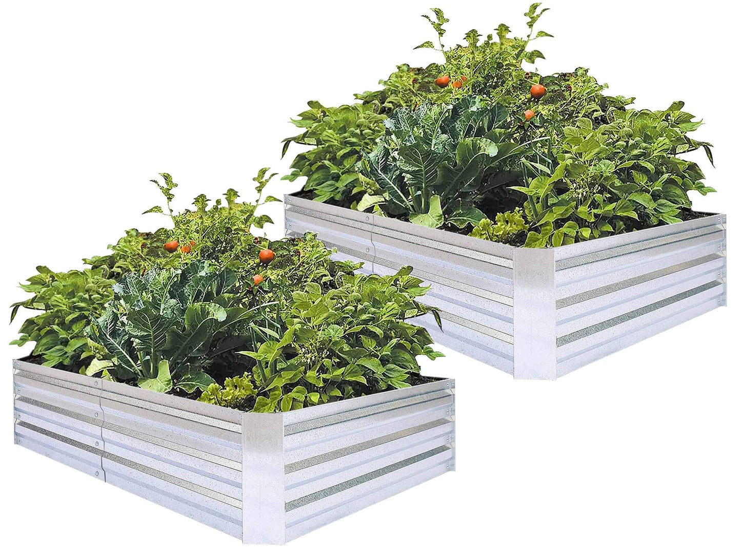 FOYUEE Galvanized Raised Garden Beds 2-Pack (6x3x1ft Each) – Popular Heavy-Duty Metal Planter Box with 4 Support Bars for Vegetables, Herbs, Flowers, Space-Saving Size for Small Yards & Patios