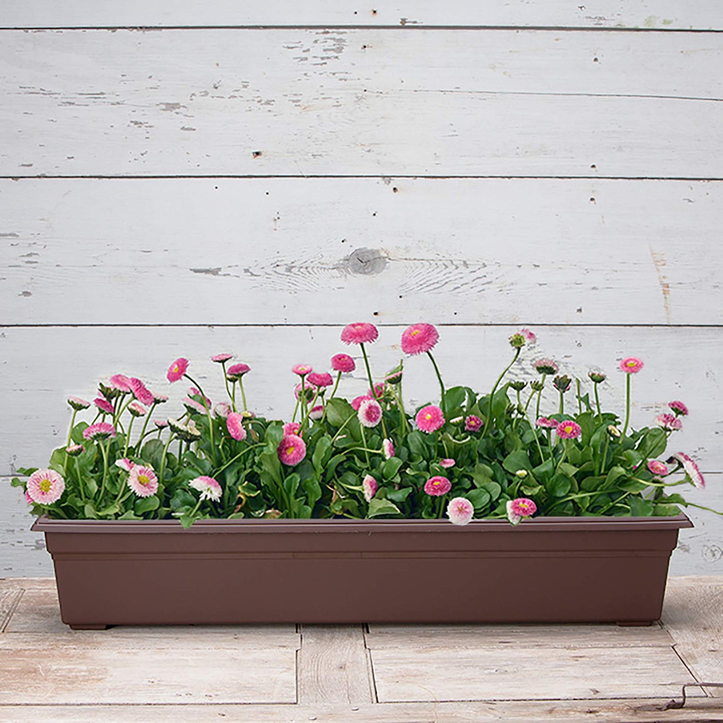 Root & Vessel 16363, Brown, Countryside Flower Box Planter, 36-Inch