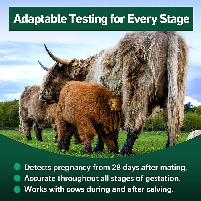 Bovine Pregnancy Test Kit - Includes 2 Tests, Rapid Results in 5-20 Minutes for Dairy & Beef Cows, Whole Blood, Serum & Plasma-Based Tests
