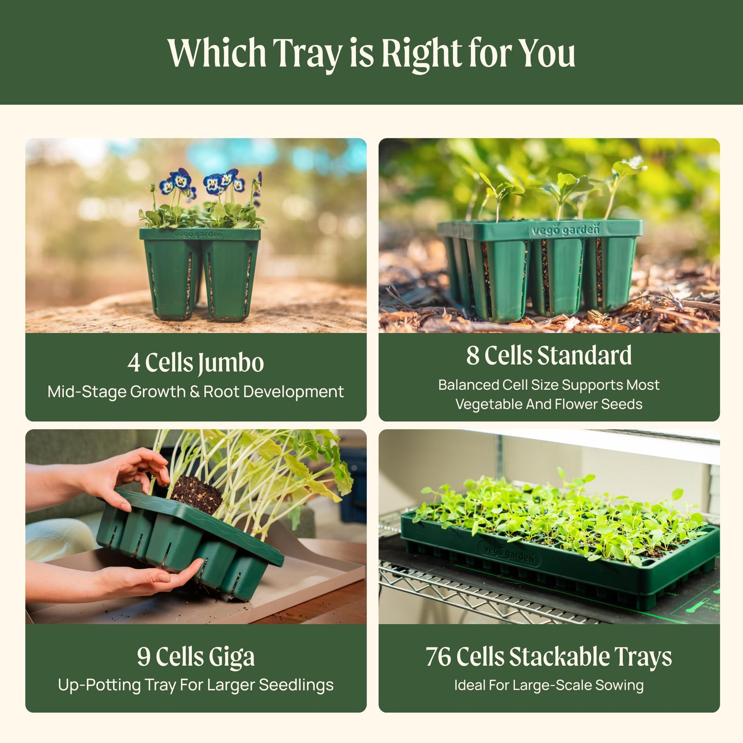Vego garden 10" x 20" 76 Cells Seed Starter Tray Stackable Seedling Starting Germination Trays for Plants Planting Vegetables Herbs Flowers, 4 Sets