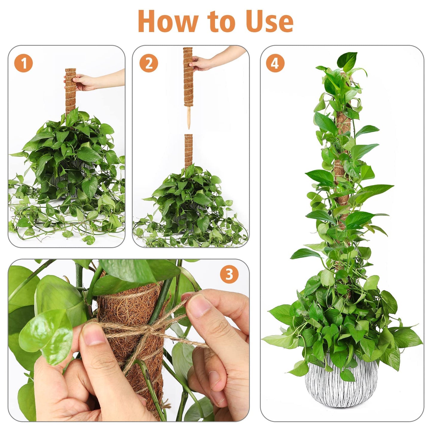 JJGoo Moss Pole for Plants Monstera,【8 Pack】 23.6 inch Plant Support Pole, Extendable Coir Totem Pole for Potted Plants Pothos, Train Indoor Climbing Plants to Grow Upwards
