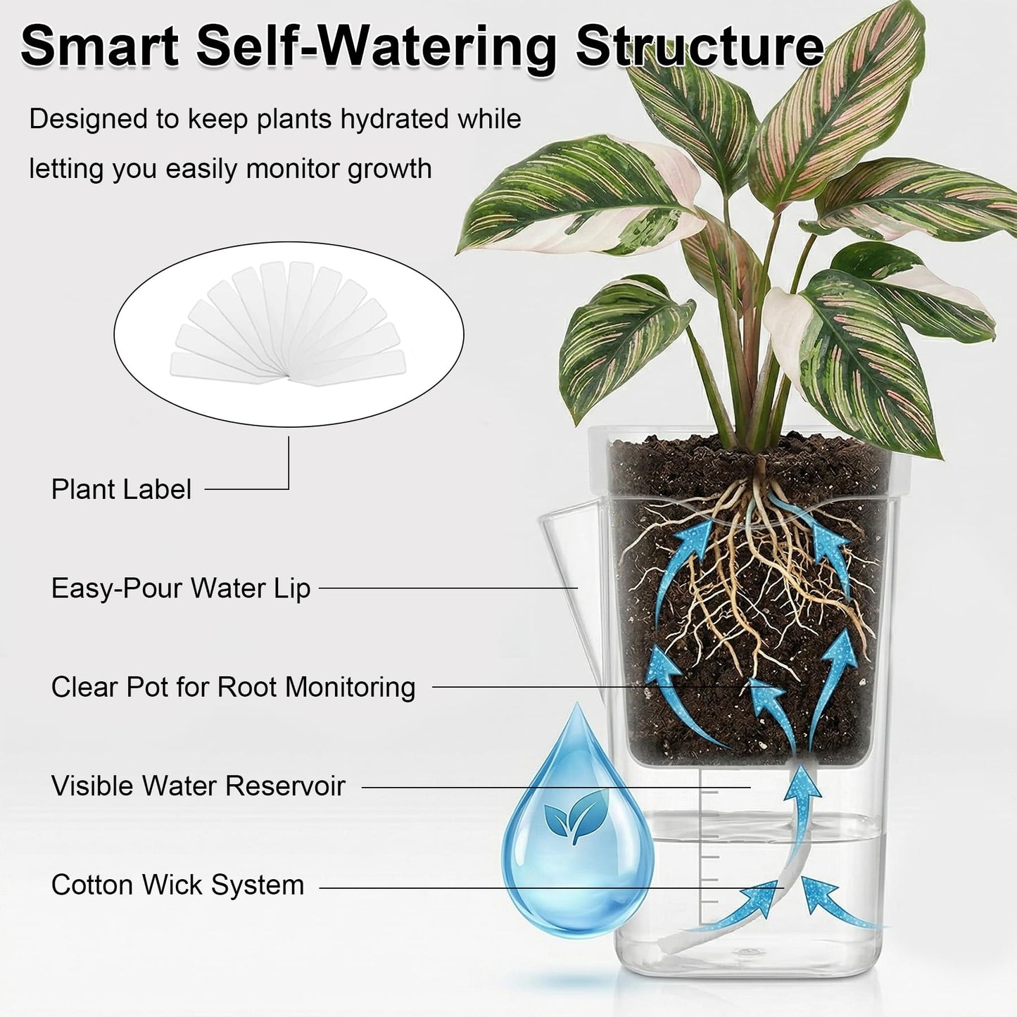 MLIYYBE 12 Set Small Self Watering Pots for Indoor Plants, 6Pcs 2'' & 6Pcs 2.5'' Clear Plastic Planters, Nursery Pots with Wick System, Water Level Indicator & Drainage Holes with 12 Plant Labels