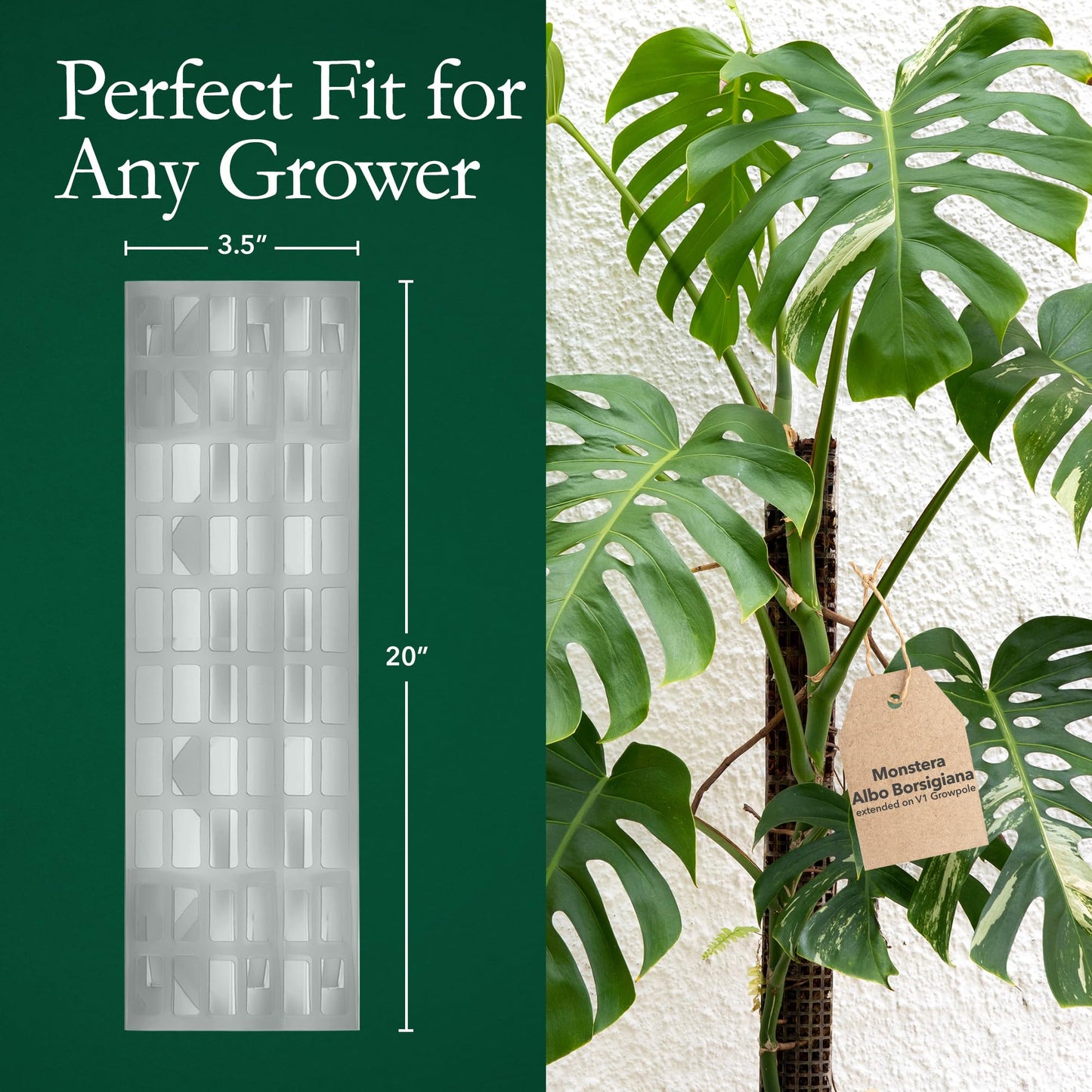 THICCLY V2 GrowPole Large 5 Pcs – Patented D-Shape Moss Pole for Climbing Plants, Moisture-Locking Closed Back, Stackable Monstera & Philodendron Support