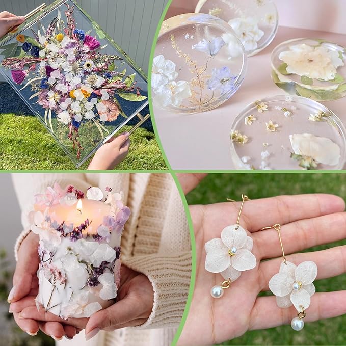2500+ Real Dried Lvory White Hydrangea Petals - 1.76 oz Preserved Natural Flower Petals for Wedding Decor, Party Confetti, Dinner Table Centerpieces, Handcrafts