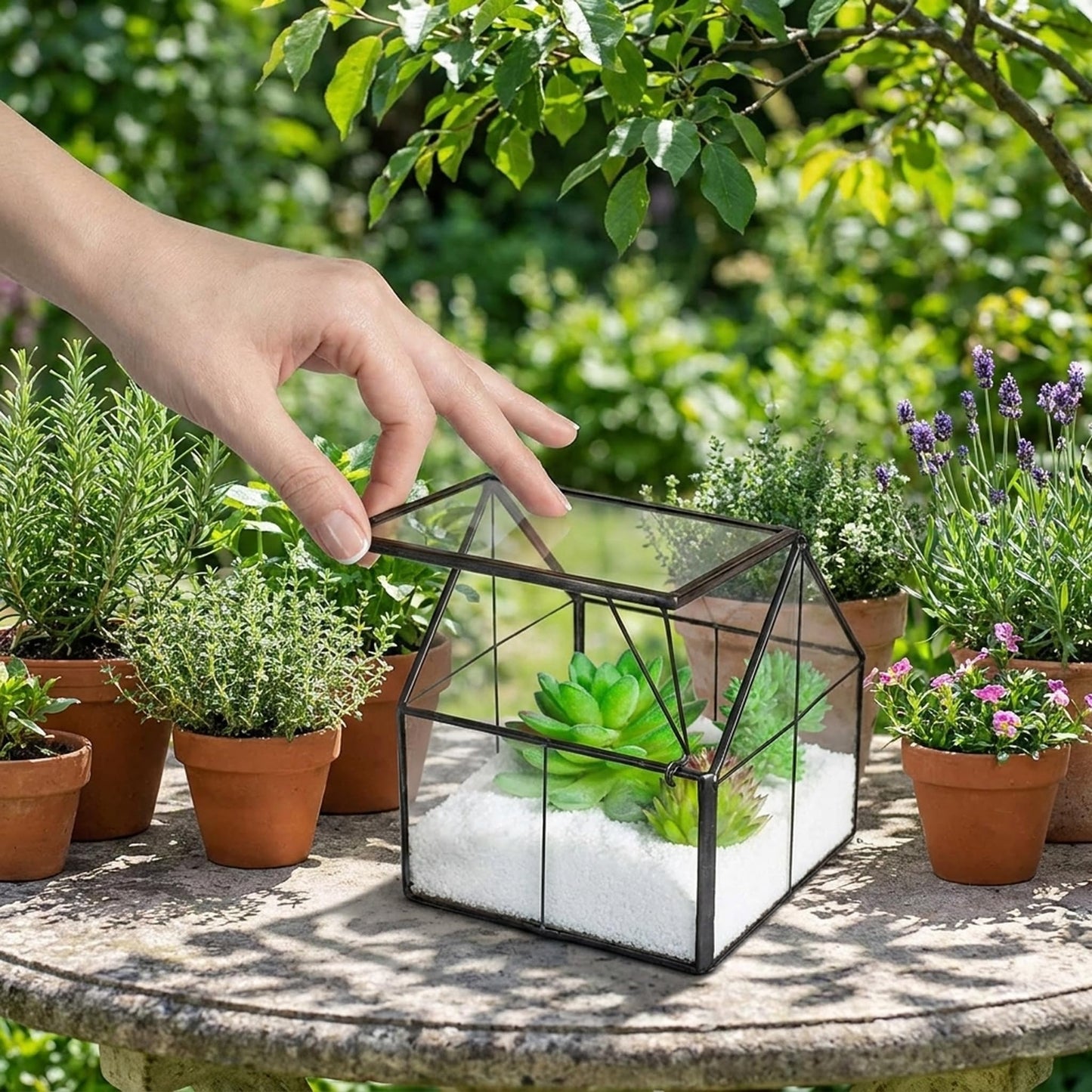 Ferrisland Glass Plant Terrarium Container Wardian Case Indoor Small Succulent Terrarium Planter w/Door for Tabletop Decor DIY - 4.9"x4.3"x4.3"
