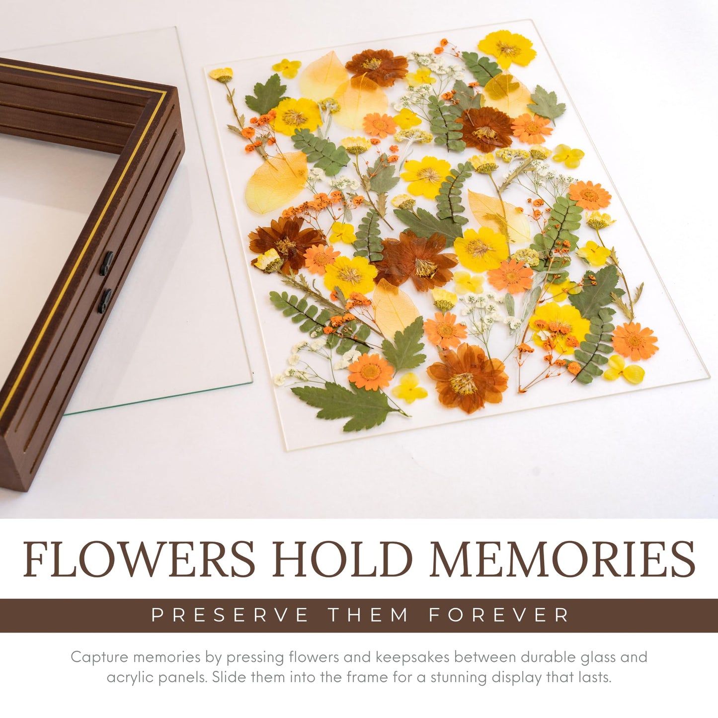 Pressed Flower Frame – Durable Dual Panel Design Glass Frame for Pressed Flowers – 11x14 Extra Large Easy-to-Use Gift Dried Flower Arrangements – Portrait or Landscape Floating Frames for Versatile Decor