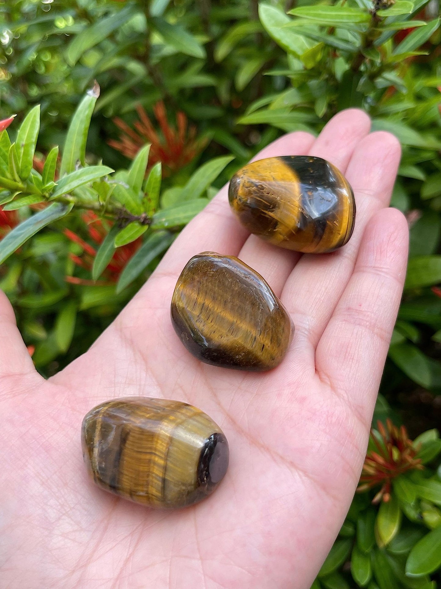 GAF TREASURES 5 Pcs Tiger Eye Tumbled Stones, Polished Natural Tiger Eye Gemstone, Tiger Eye Healing Crystals (Tiger Eye)